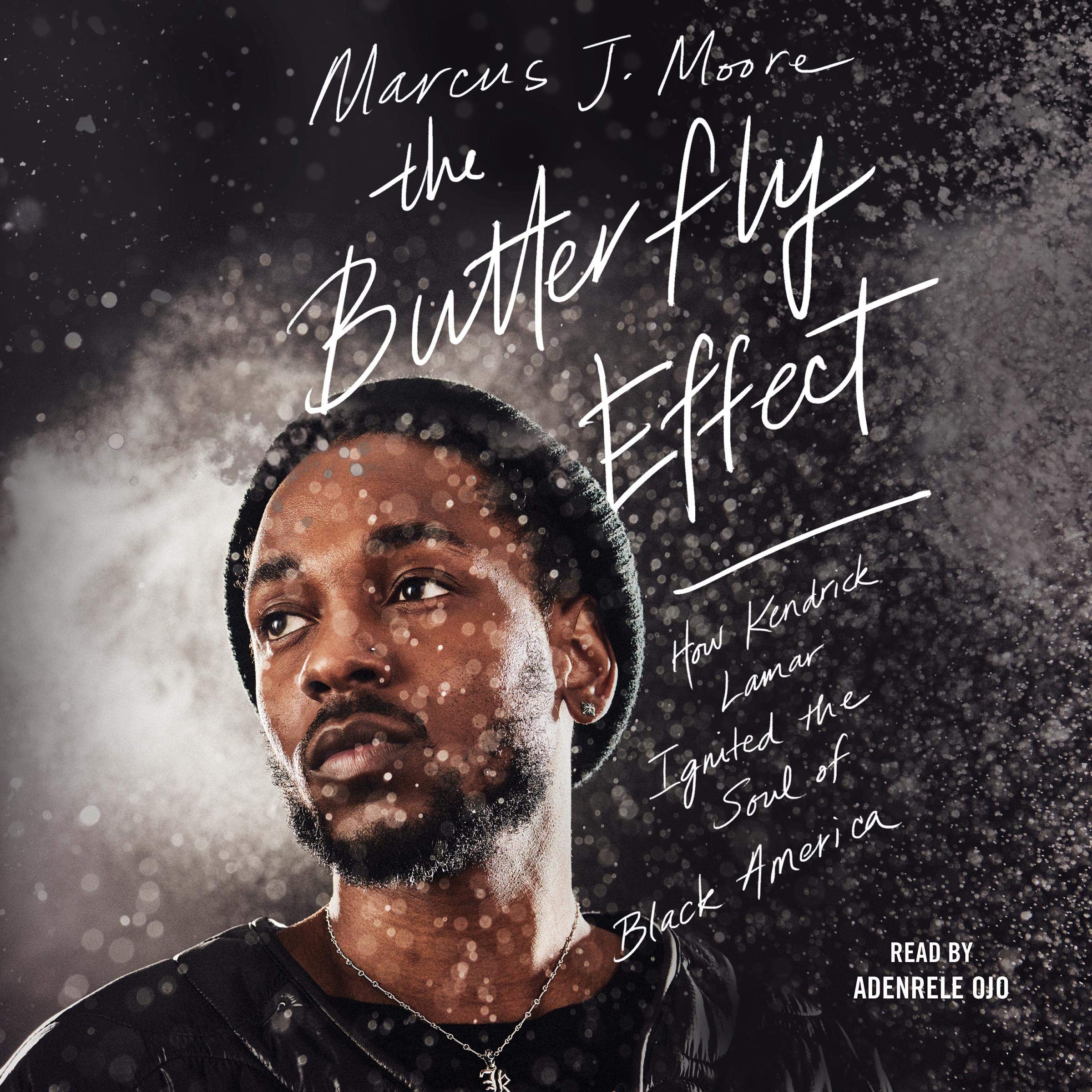 Cover art for The Butterfly Effect