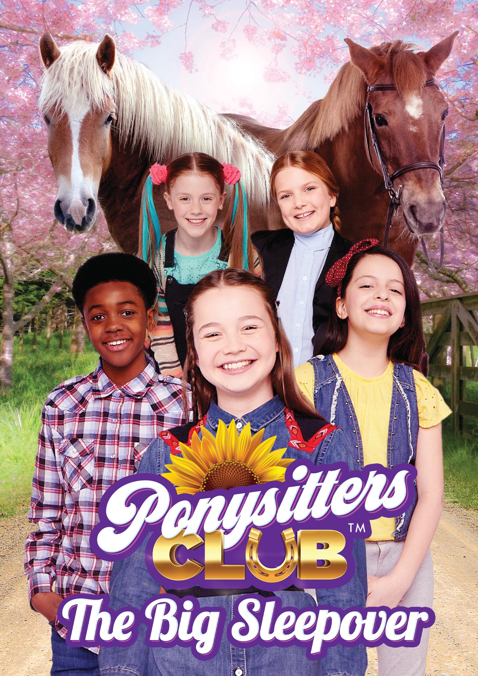 Ponysitters Club: The Big Sleepover [DVD]