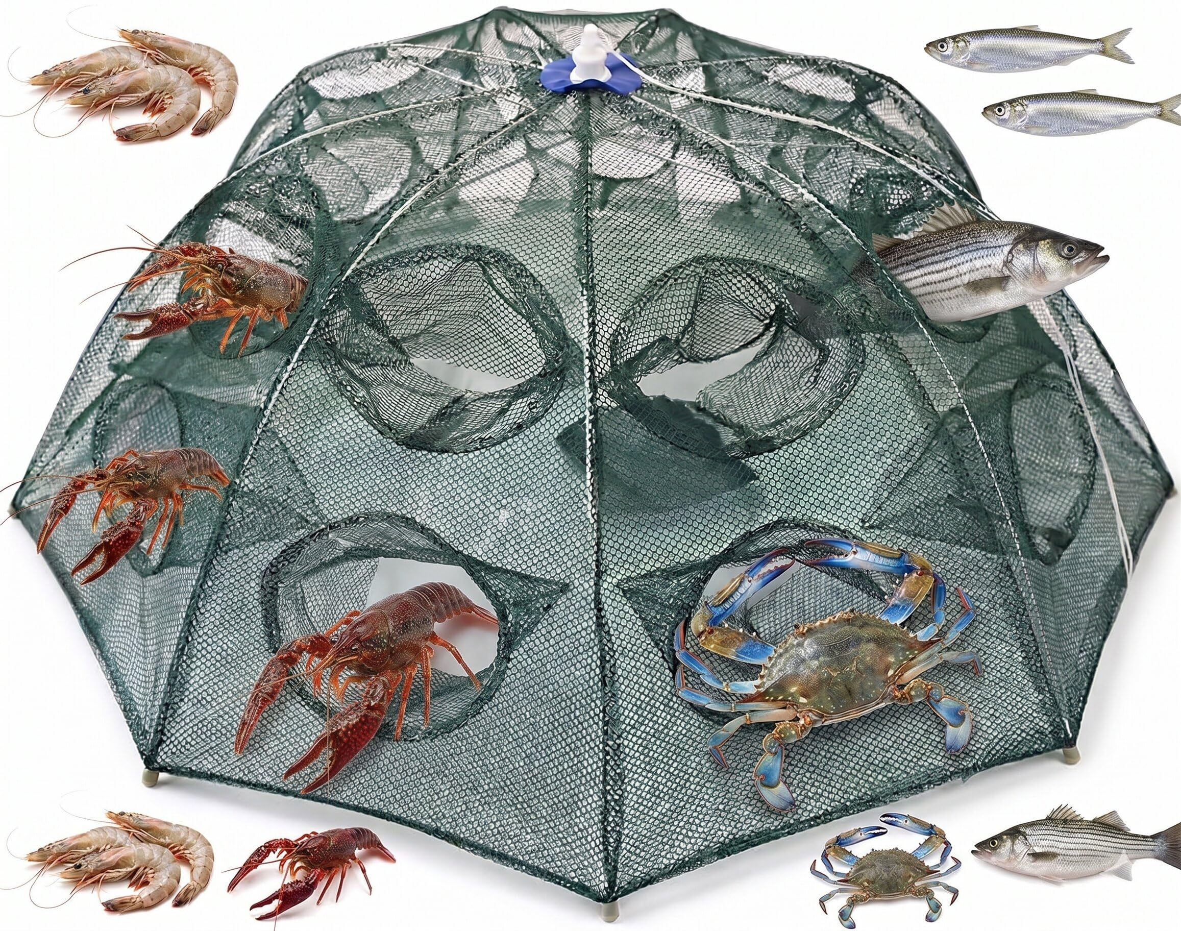 TOVIXY Fishing Net, Fish net, Fish Trap Portable Strengthened 16 Holes Automatic Fishing Net Shrimp Cage, Nylon Foldable Crab Fish Trap Cast Net Cast Folding Net. (8 Sides 16 Holes)-image-29