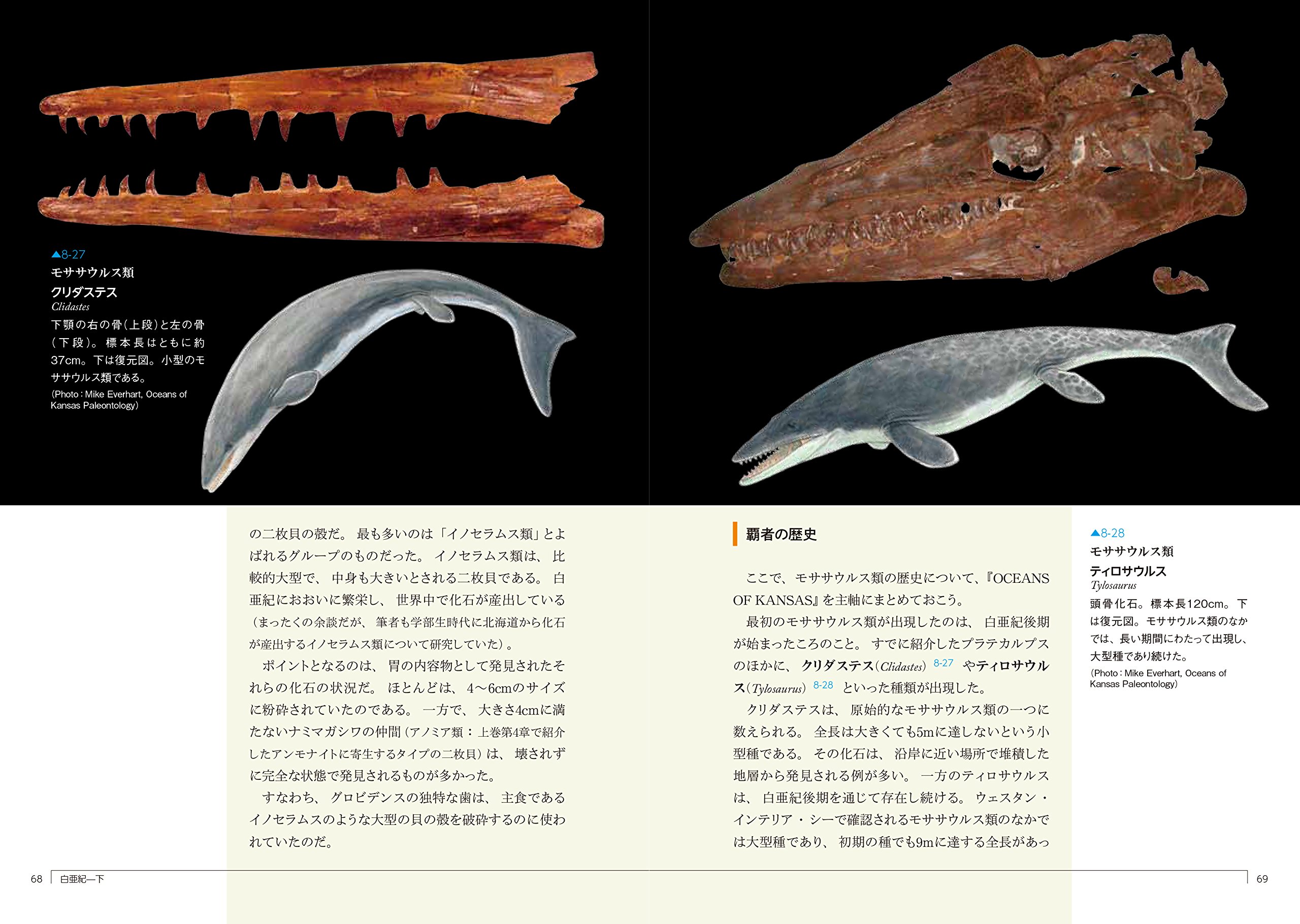 白亜紀生物一覧, 白亜紀後期 恐竜 – MGSQ