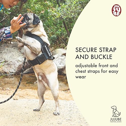 Miniatura 3 de Jujube Arnés para perro (grande)