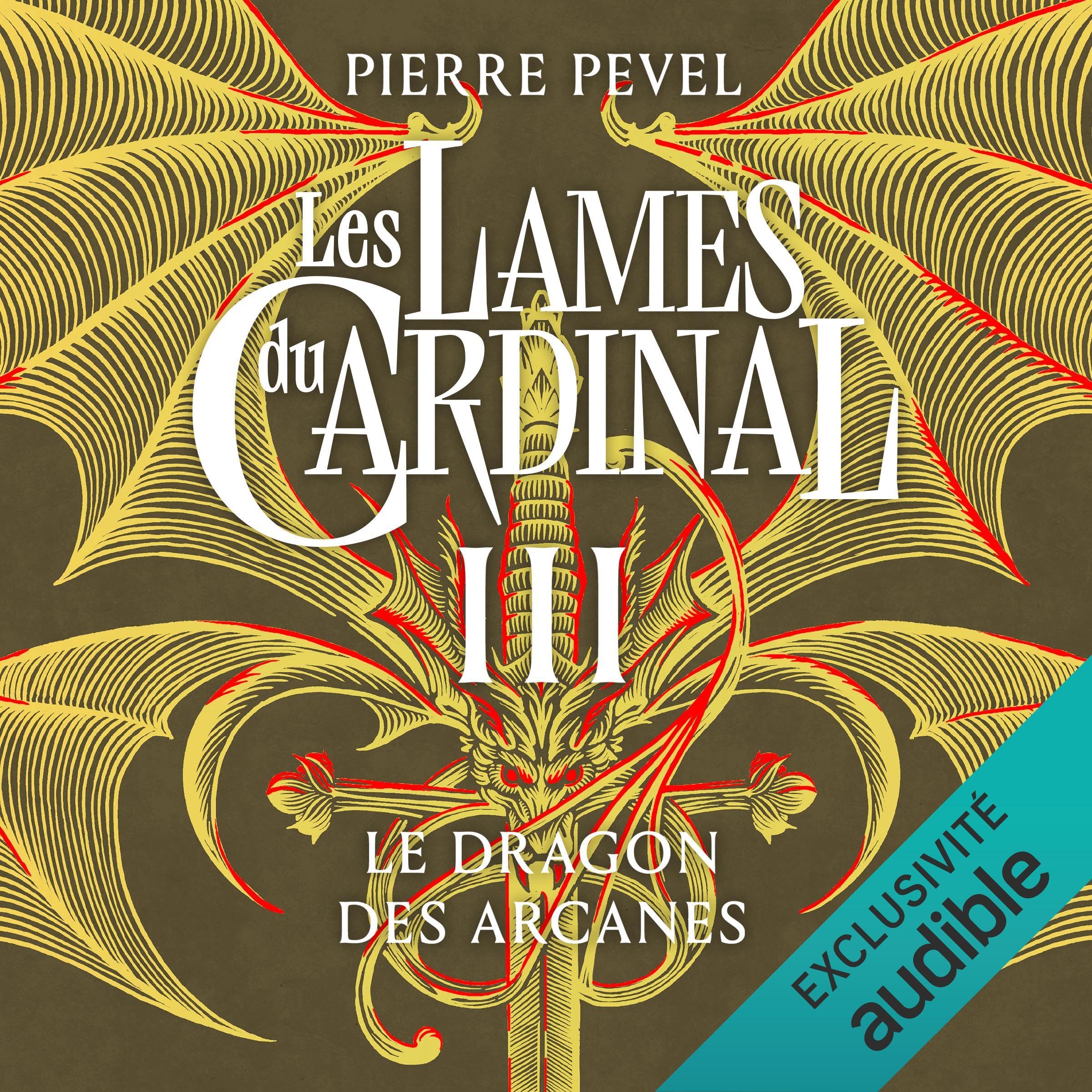 Cover art for Le Dragon des Arcanes
