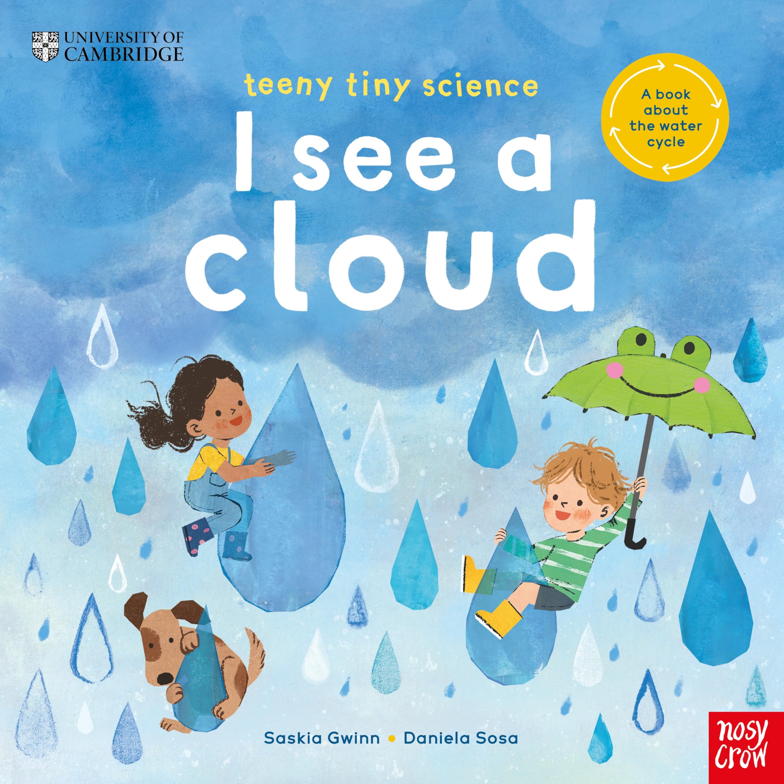 Saskia Gwinn Unisex Multicolor University Of Cambridge: Teeny Tiny Science: I See A Cloud: A Book