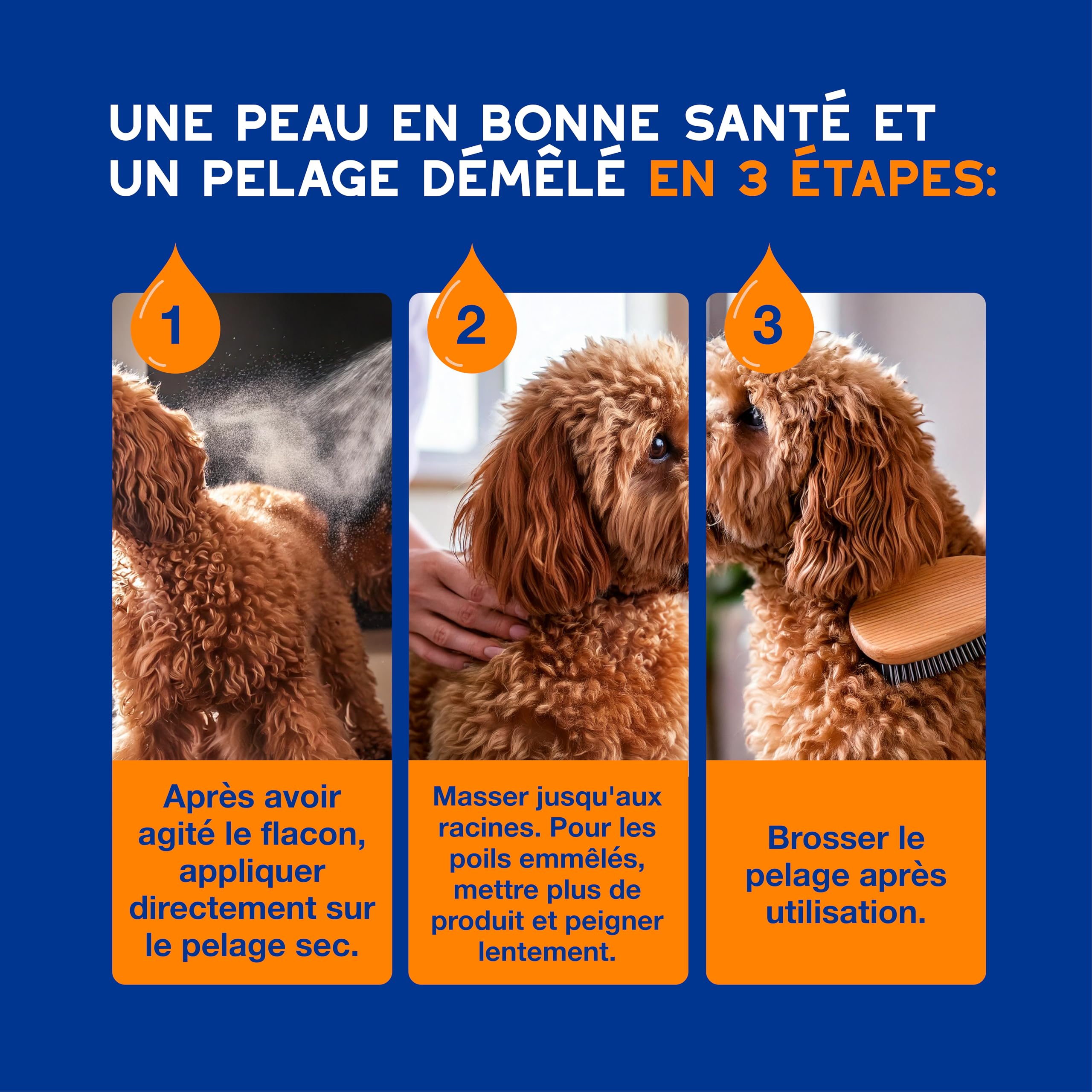 DOUXO Skin & Coat Spa - Ultra-Safe Spray démêlant pour Chiens, 340mL, démêle et nourrit Le Pelage en Toute sécurité, Laisse Le Pelage Doux, Soyeux et sans Noeuds, Formule respectueuse de la Peau.