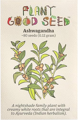 Ashwagandha - Paquete de 80 semillas de hierbas sin OMG polinizadas abiertas sin tratar para plantar de EE UU