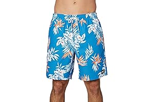 O'Neill Hyperfreak 18'" Santa Cruz Volley Board Shorts