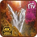 滝のスクリーンセーバー 4K - 水の音