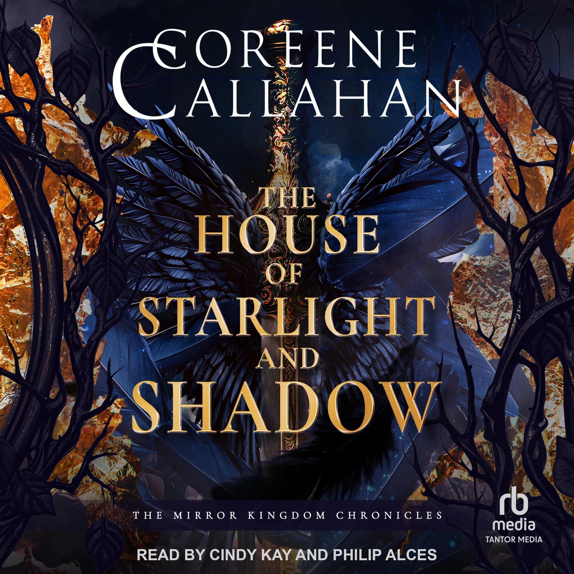 Cover art for The House of Starlight and Shadow