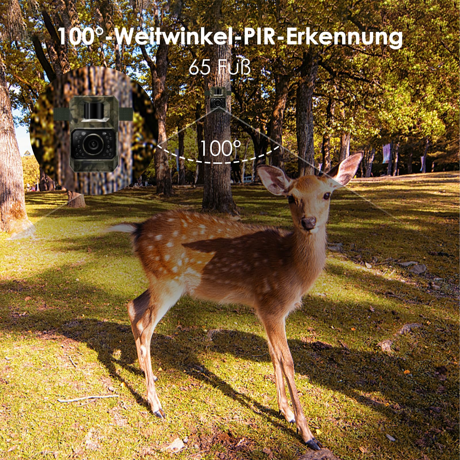 MAXDONE Wildkamera 4K 64MP WLAN Bluetooth Nachtsicht 2000mAh Akku IP66 Wasserdicht