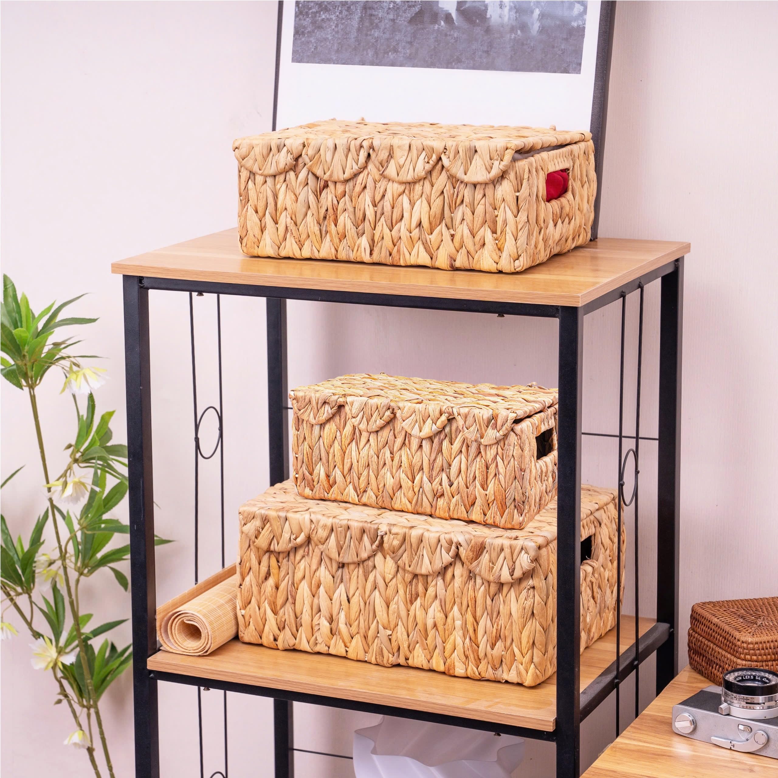 Juego de 3 cestas de mimbre con borde festoneado con tapa, cesta de almacenamiento de mimbre rectangular con asas integradas, organizador multiusos de ratán cajas de exhibición para estante 2