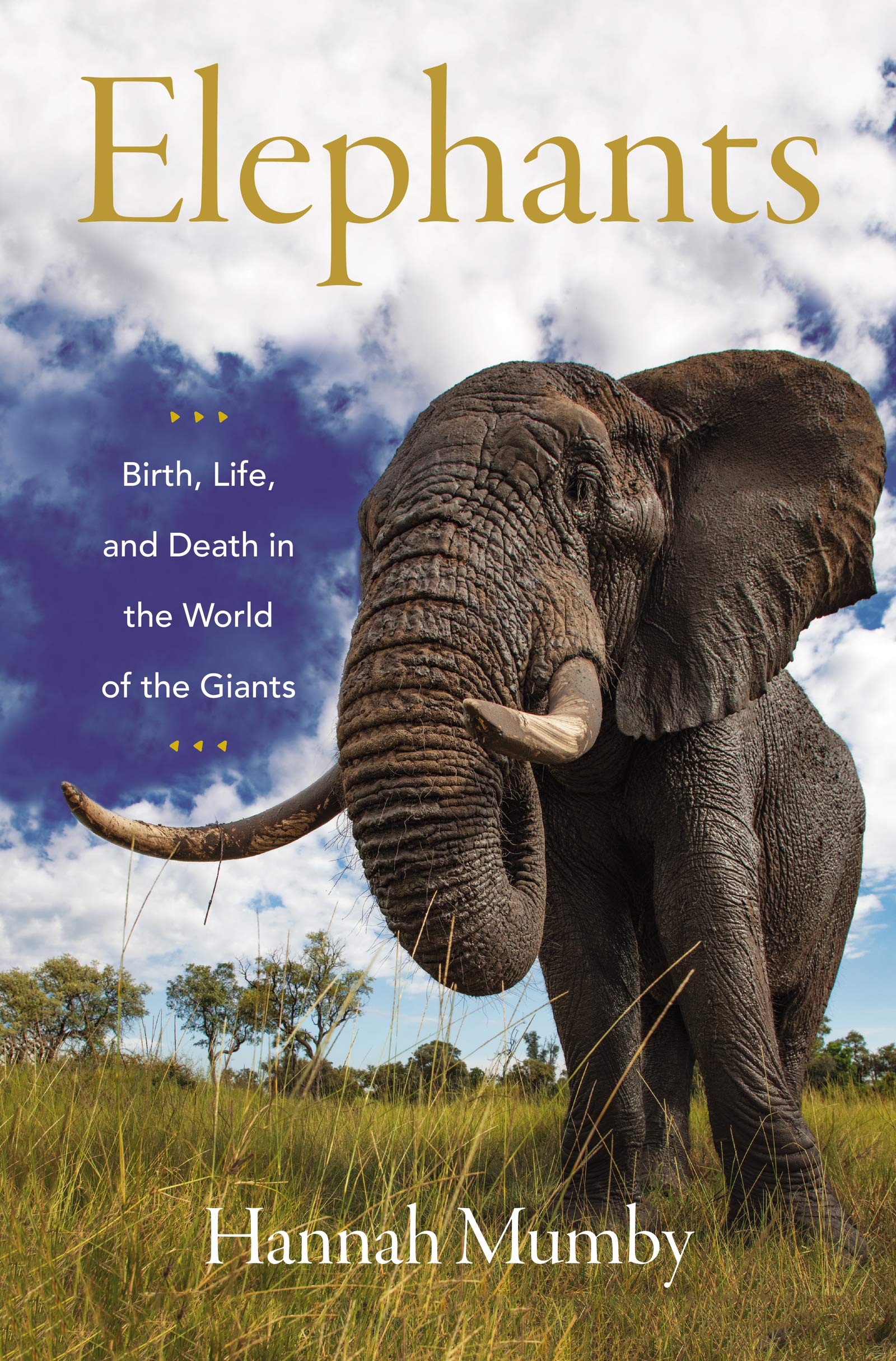 Cover of Elephants: Birth, Life, and Death in the World of the Giants