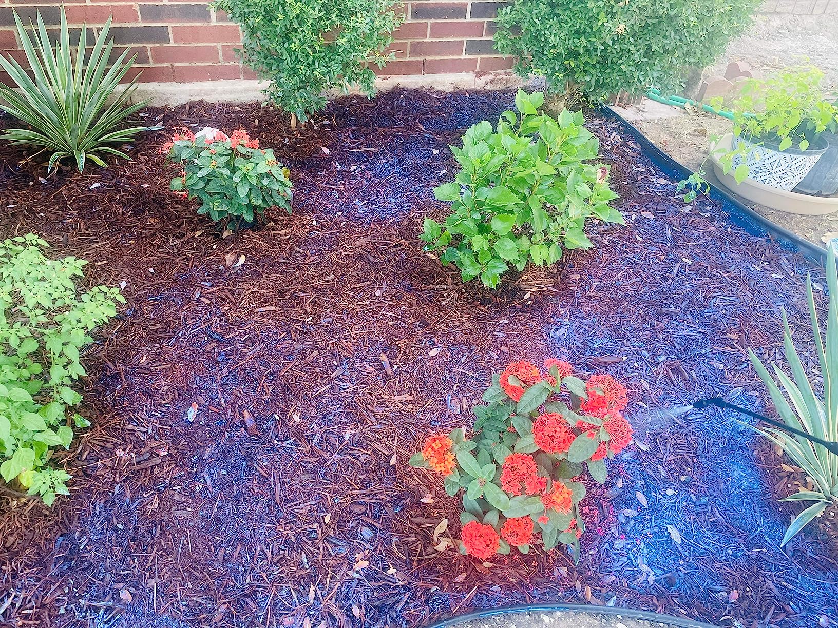 10/mo Finance Mulch Glue 1 Gallon Mulch Glue for Landscaping, Super