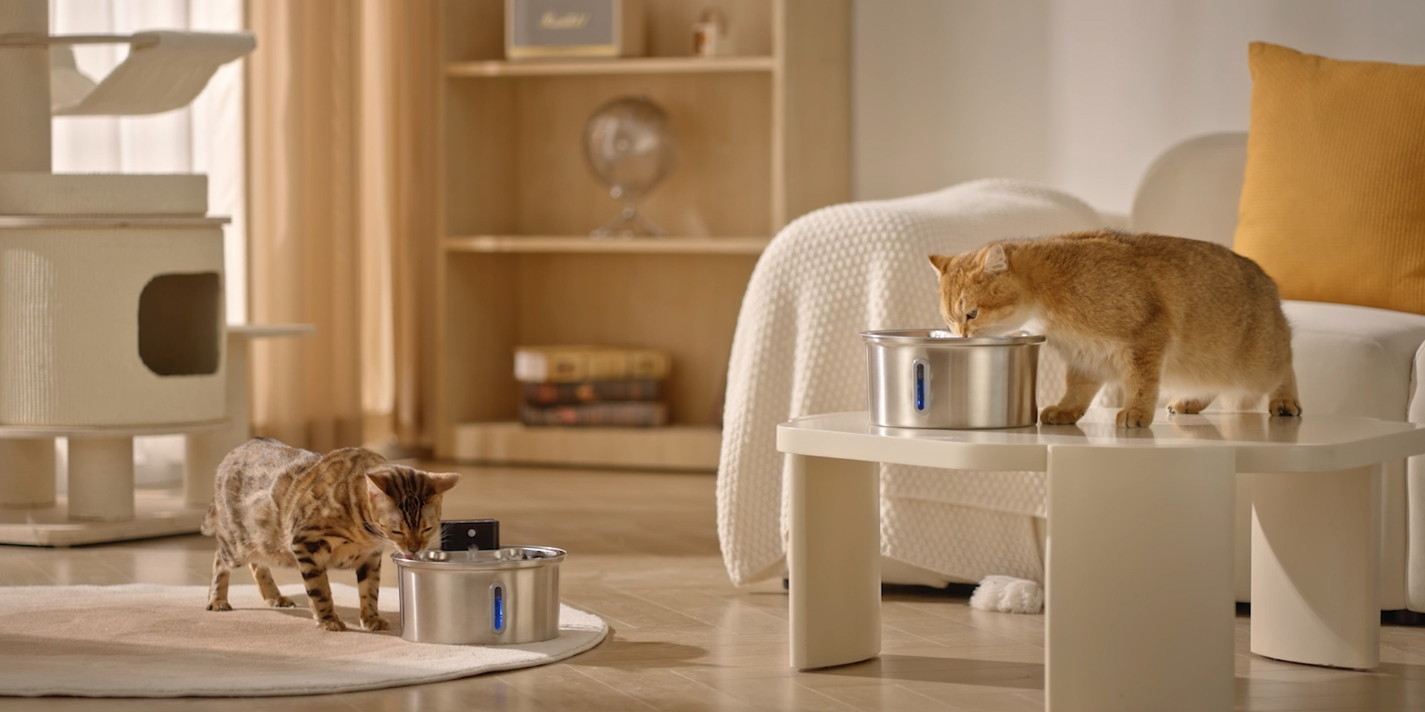 PAWPOLL Drinkfontein - Draadloze - Waterfontein Voor Katten En Honden Kattenfontein 3 2l Geruisloos Incl 1 Filter En 1 Sponzen