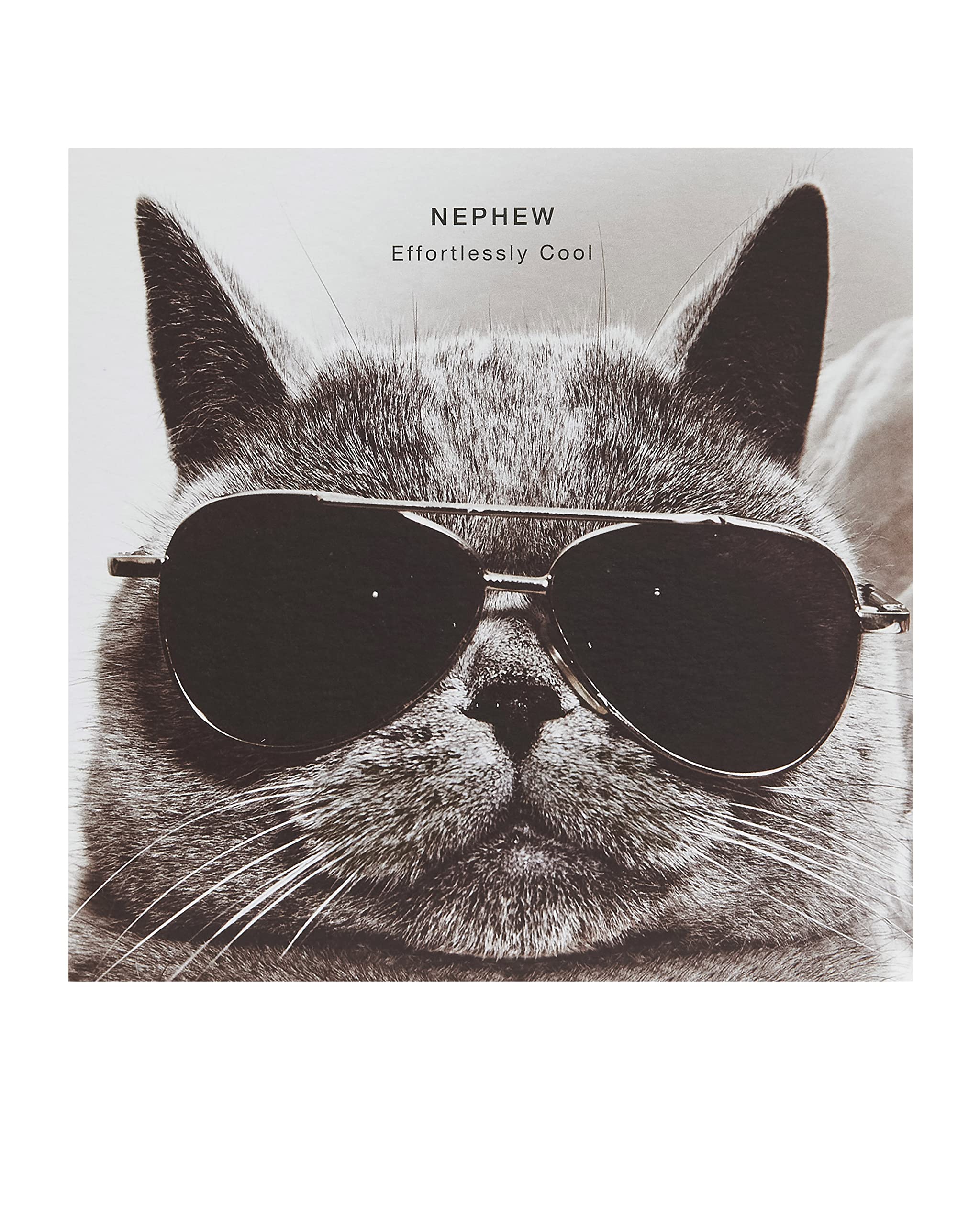 Paperlink Lustige Geburtstagskarte Für Neffen – Mit Ingwer-Katze & Spruch, Folien-Finish, 128x230 Mm