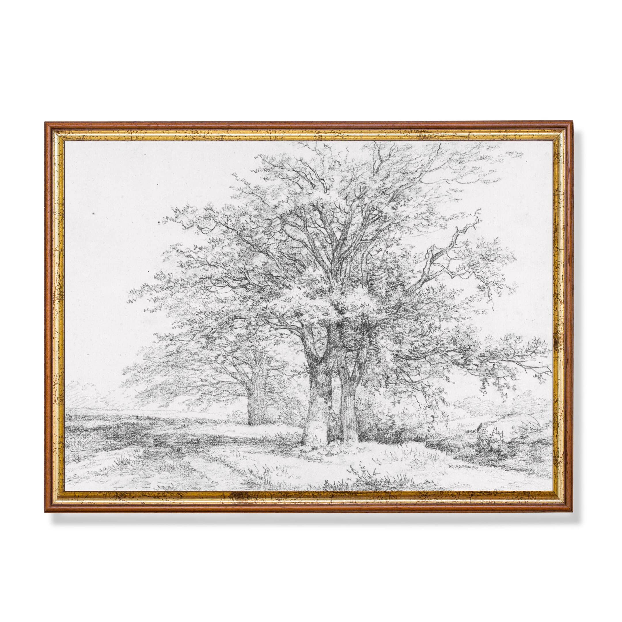 Dessiner l’Antique Dessiner l'antique - Les recueils de Jean Baptiste Muret et de