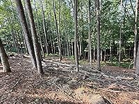 Review Image by John Mayfield John Mayfield