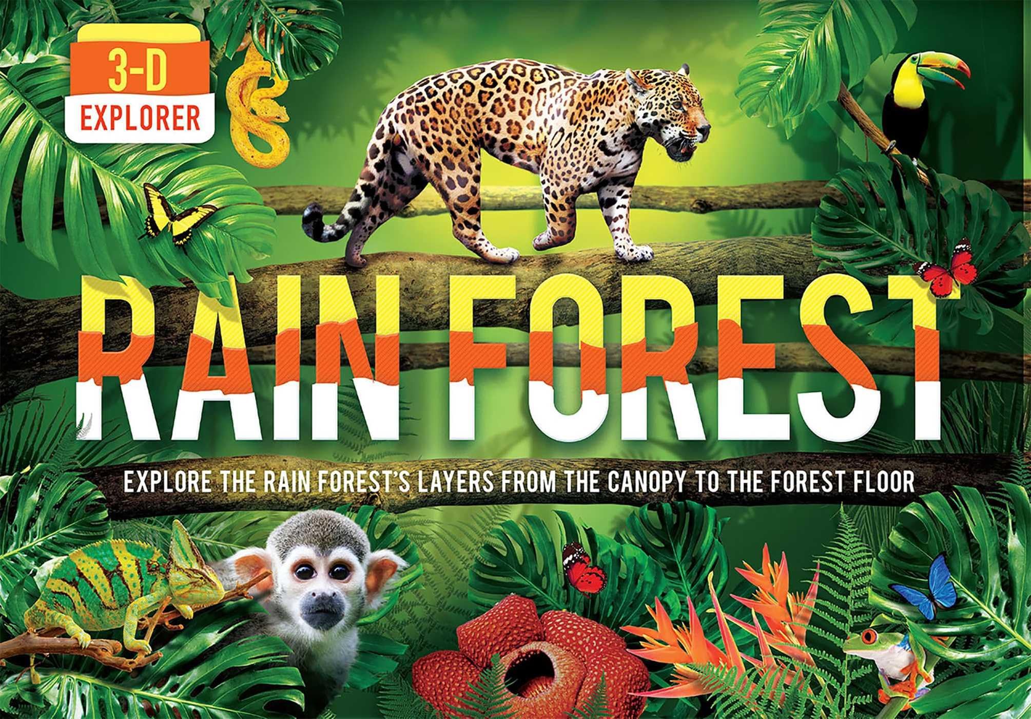 3-D Explorer: Rain Forest Hardcover – November 6, 2018