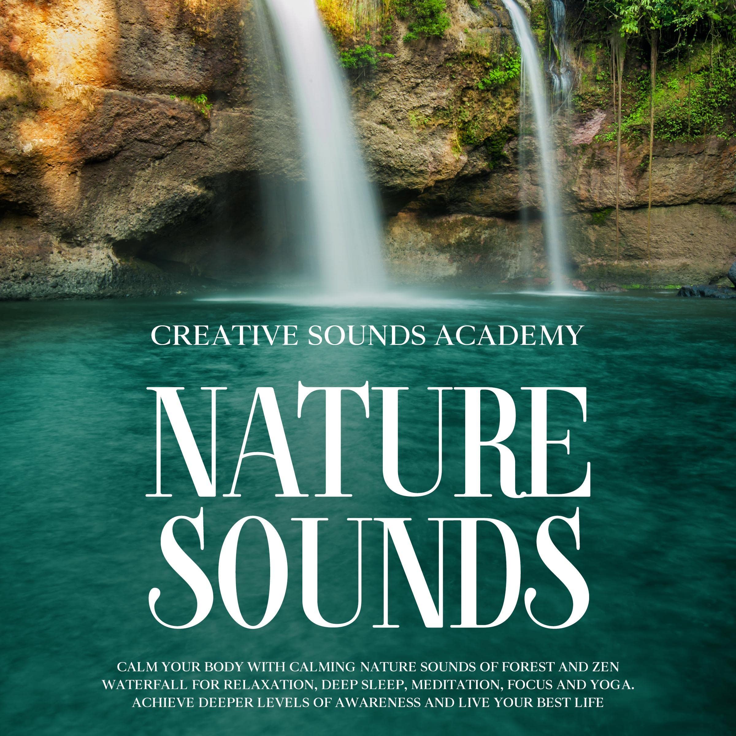 Cover art for Nature Sounds