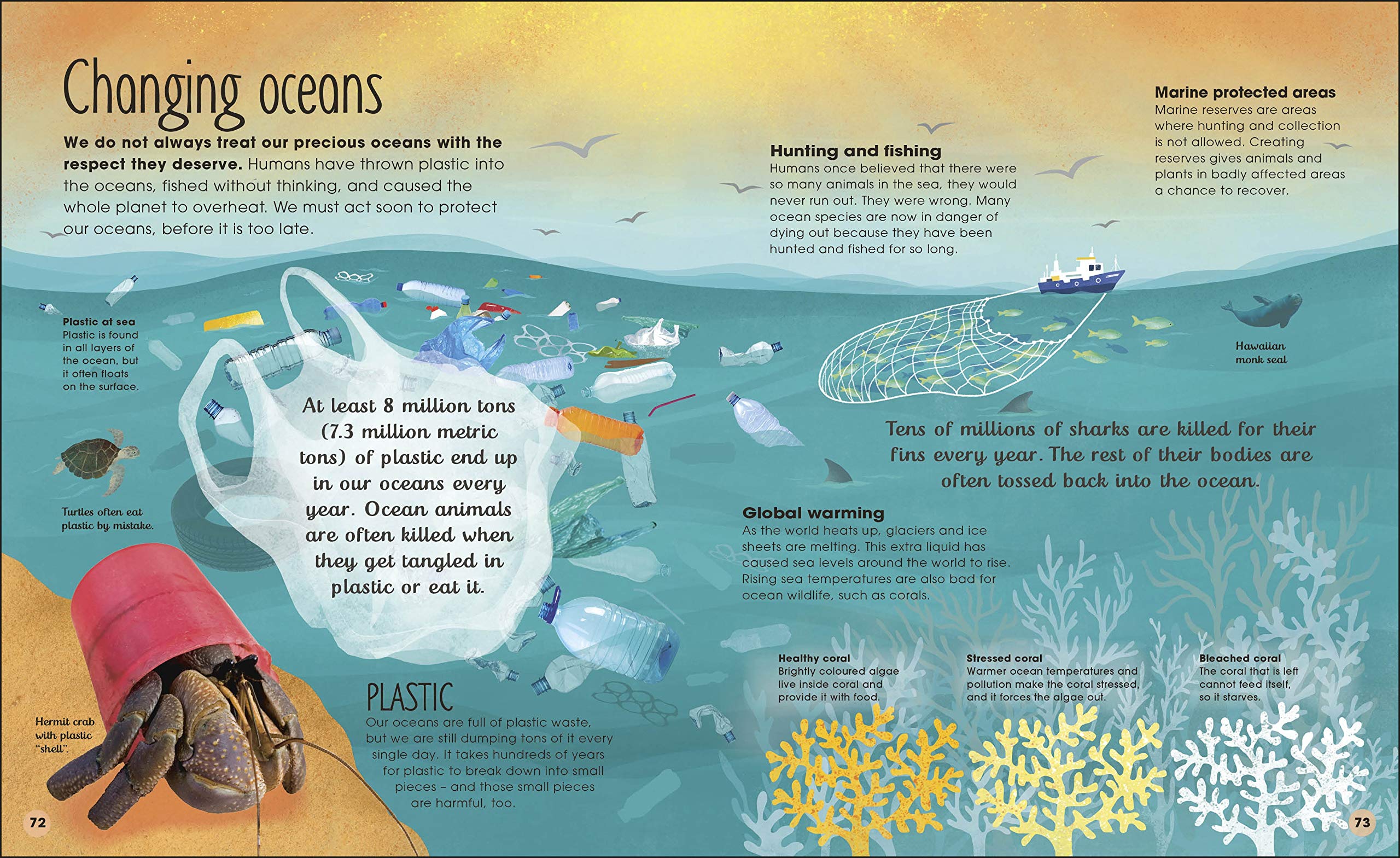 Earth's Incredible Oceans (The Magic and Mystery of Nature) (The Magic and Mystery of the Natural World)
