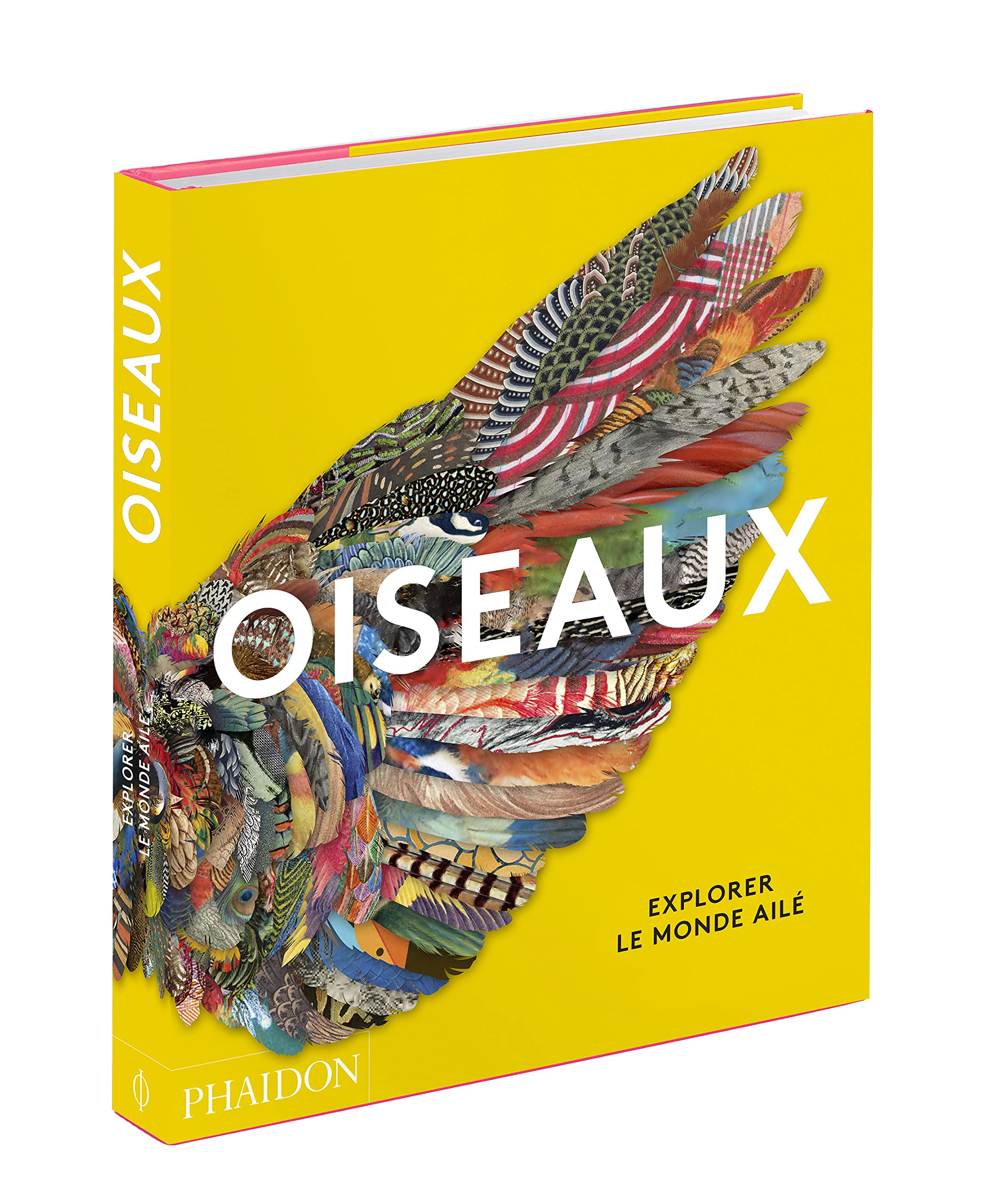 Oiseaux: Explorer le monde ailé
