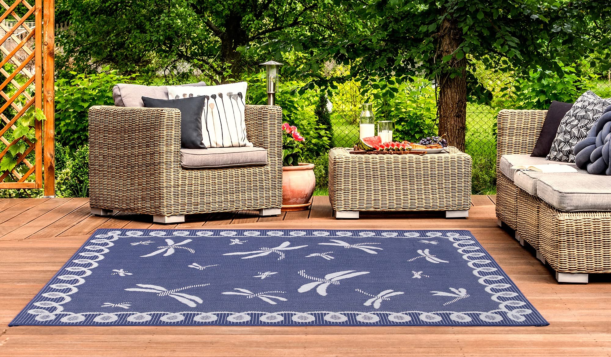 Lord of Rugs Terrace Dragonfly Outdoor Rug for Garden, Patio, Living Room, Indoor, Kitchen, Balcony, Picnic, Bedroom Bordered Lightweight Mat Flatweave Rug Blue Small 80x150 cm (2'6"x5')