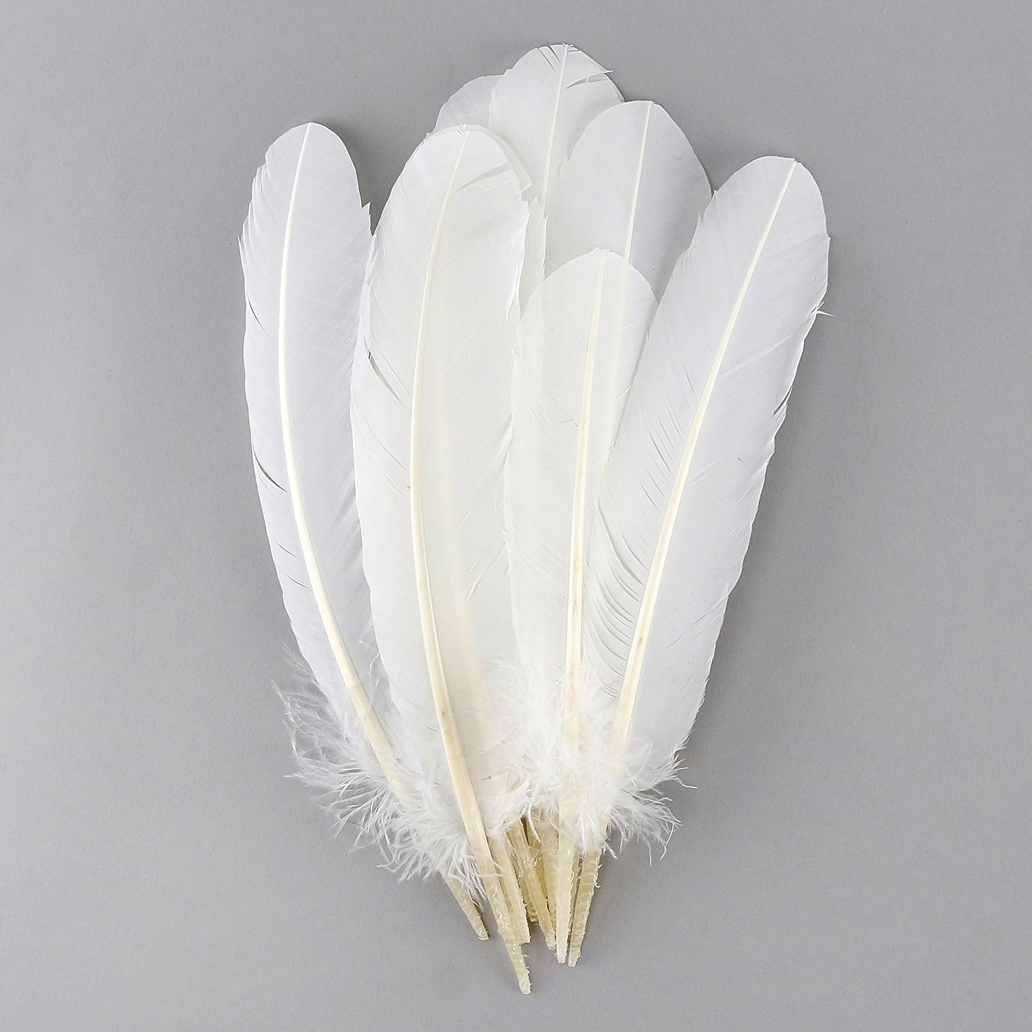 ZUCKER - Turkey Quills by Pound - Bulk Feathers for Crafting, Decoration, Home Décor, Holiday Decorating, Weddings and Events, Cosplay, Costumes - Right Wing Feathers - White