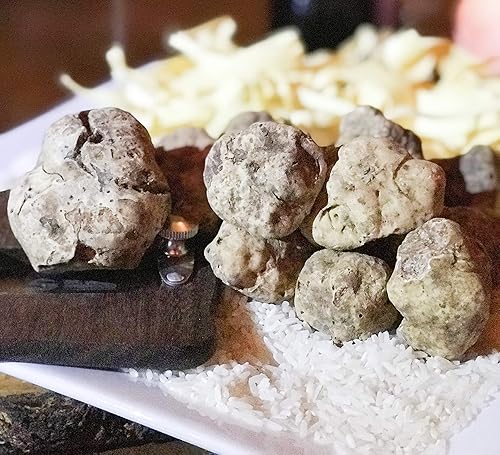 Miniatura 25 de 1 oz (28gr) Trufas Blancas Frescas (Tuber Magnatum Pico) por Taste of Truffles