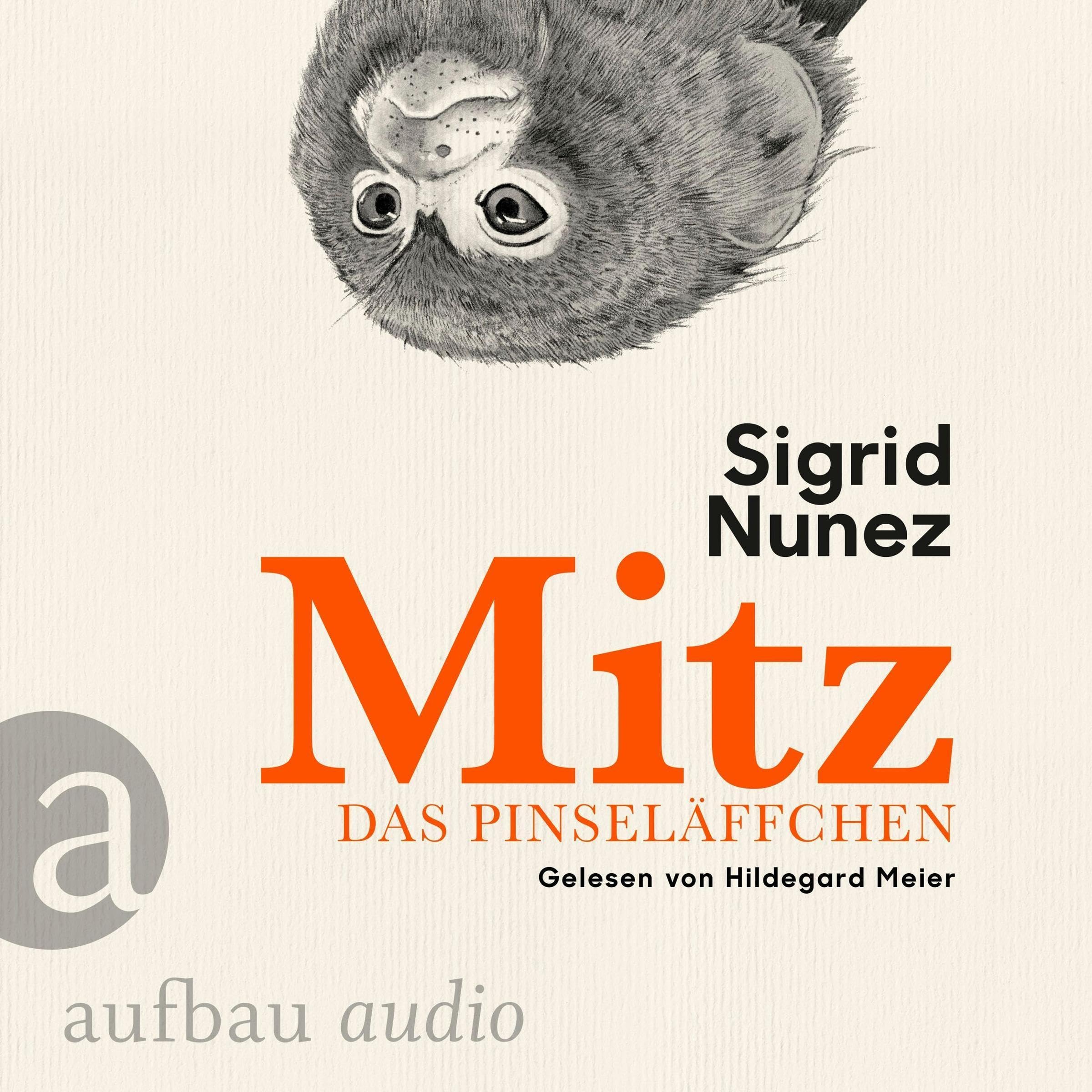 Mitz, das Pinseläffchen