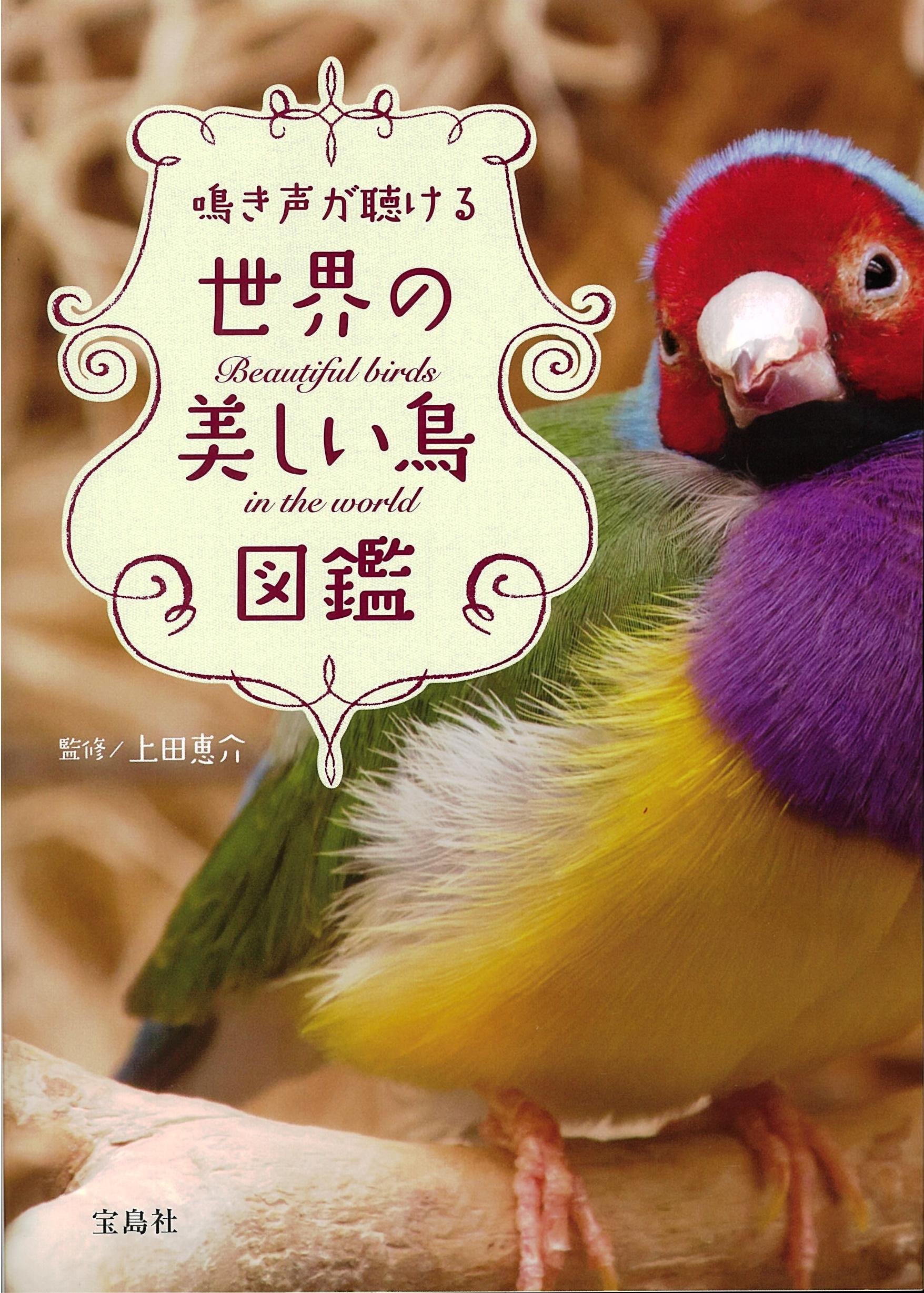 鳴き声が聴ける 世界の美しい鳥図鑑 上田 恵介 配送料無料