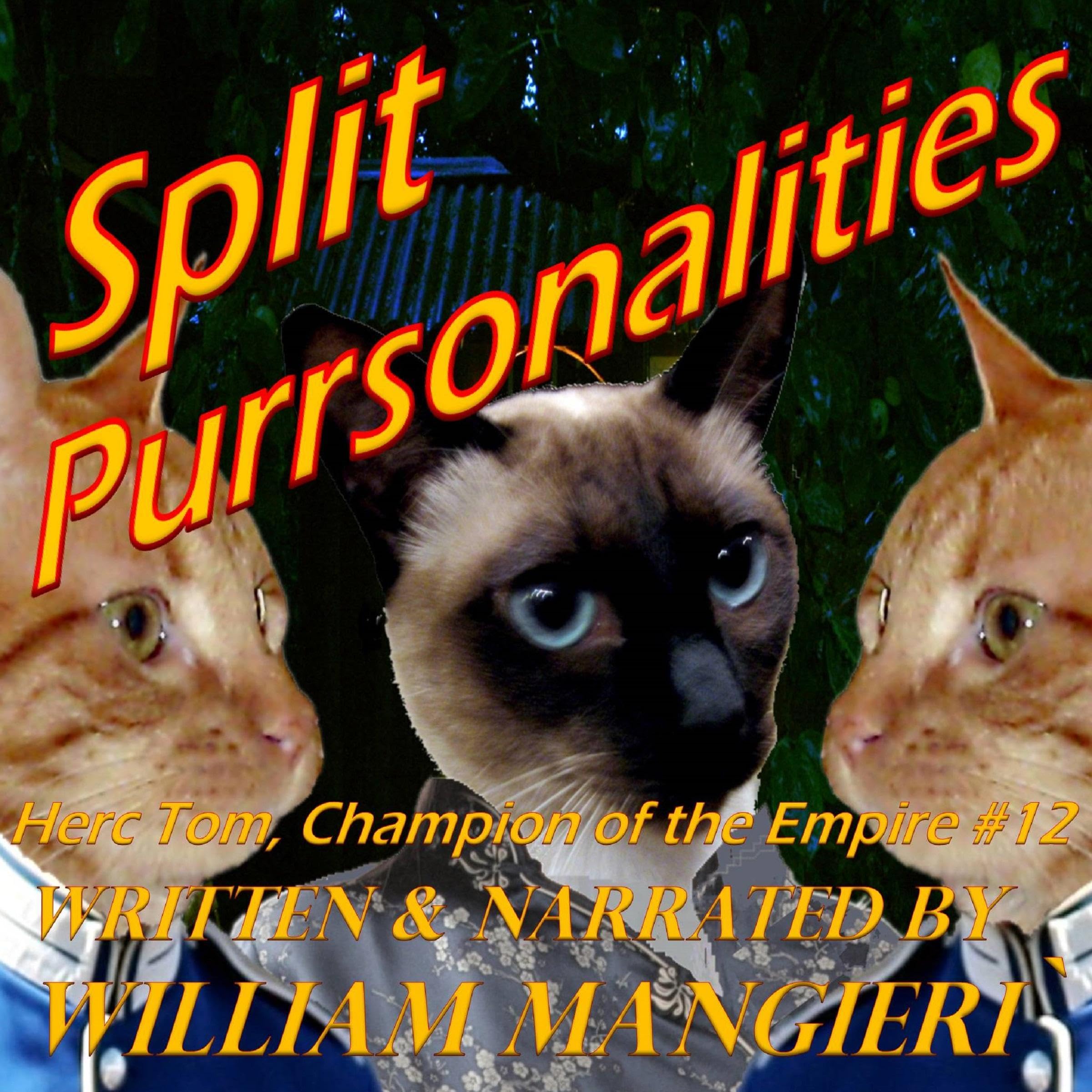 Cover art for Split Purrsonalities
