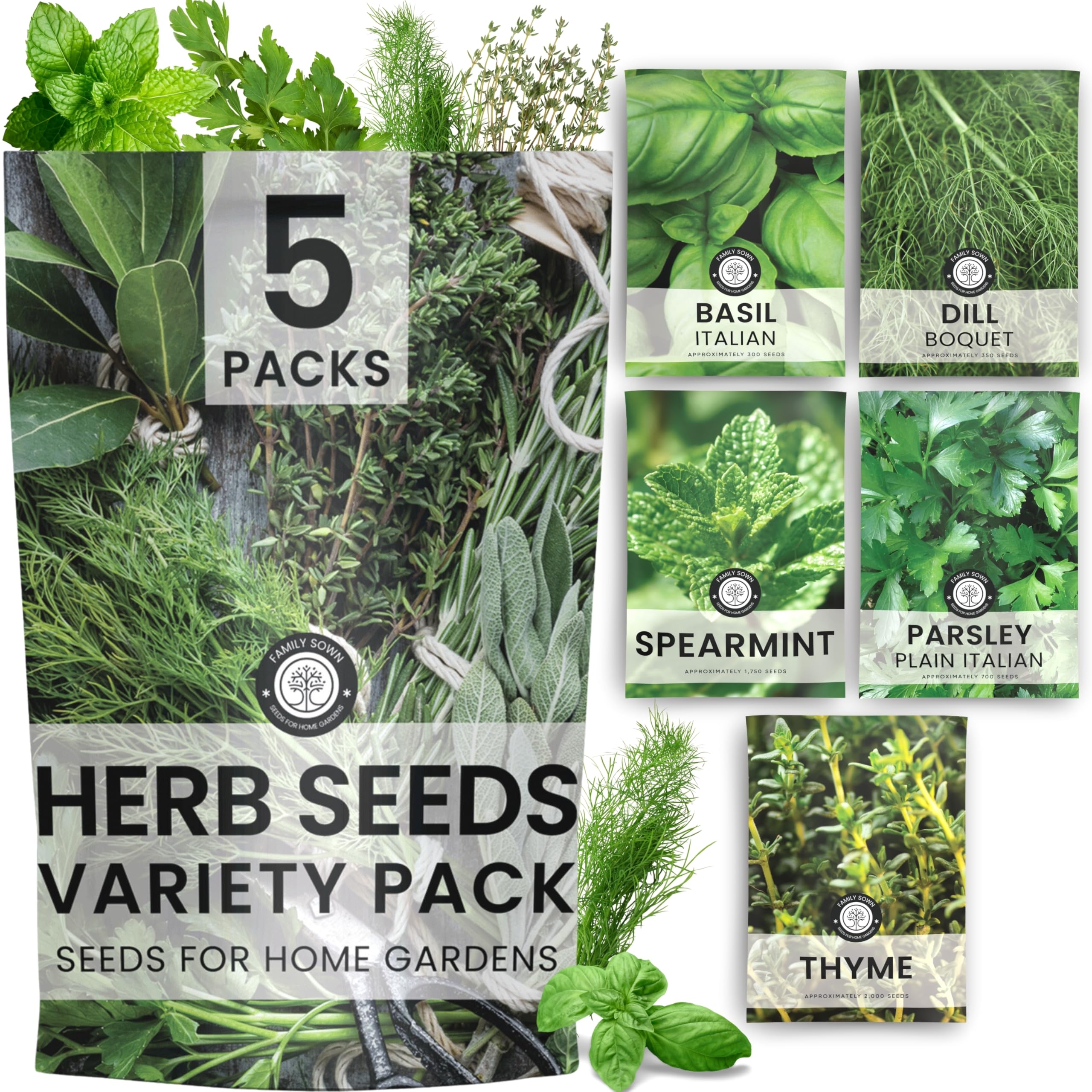 Herb Seeds | 5 Invidiual Packs | 2026 Season | Non-GMO | Basil, Dill, Spearmint, Parsley & Thyme! | for Planting Indoor & Outdoor | by Family Sown