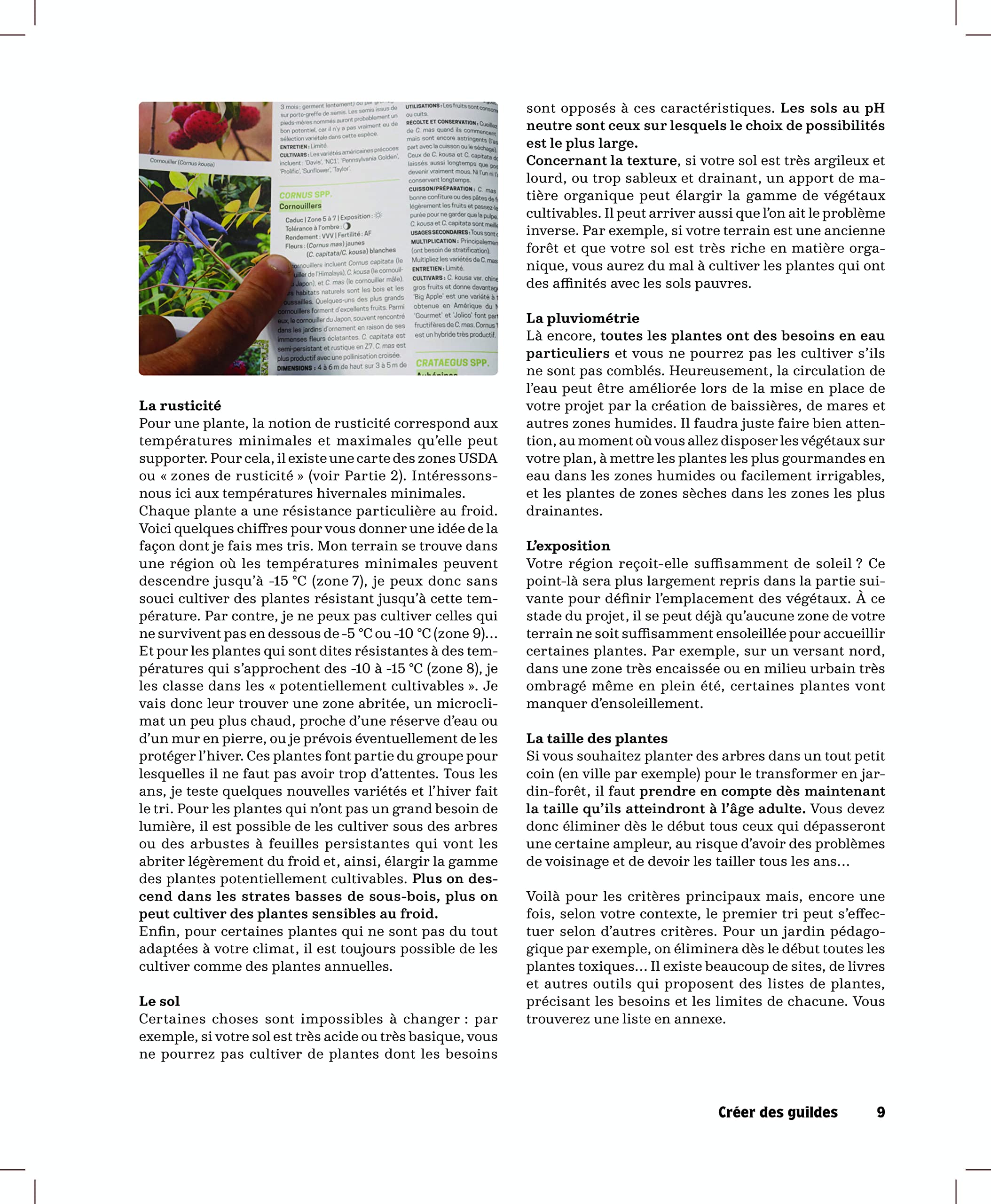 Le Guide Terre vivante du jardin forêt: Le Jardin d'Emerveille