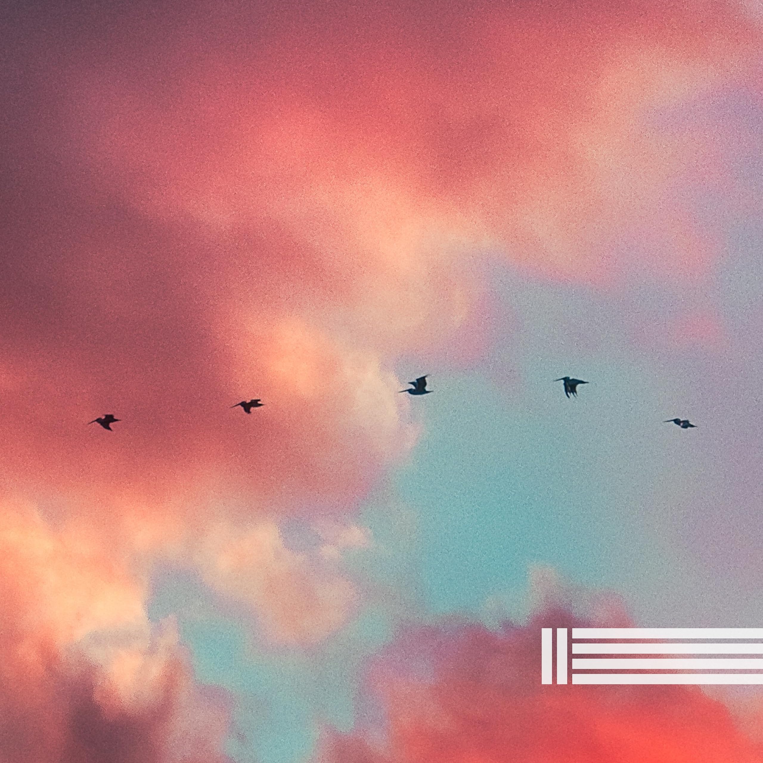 Sounds Of Birds & Forest