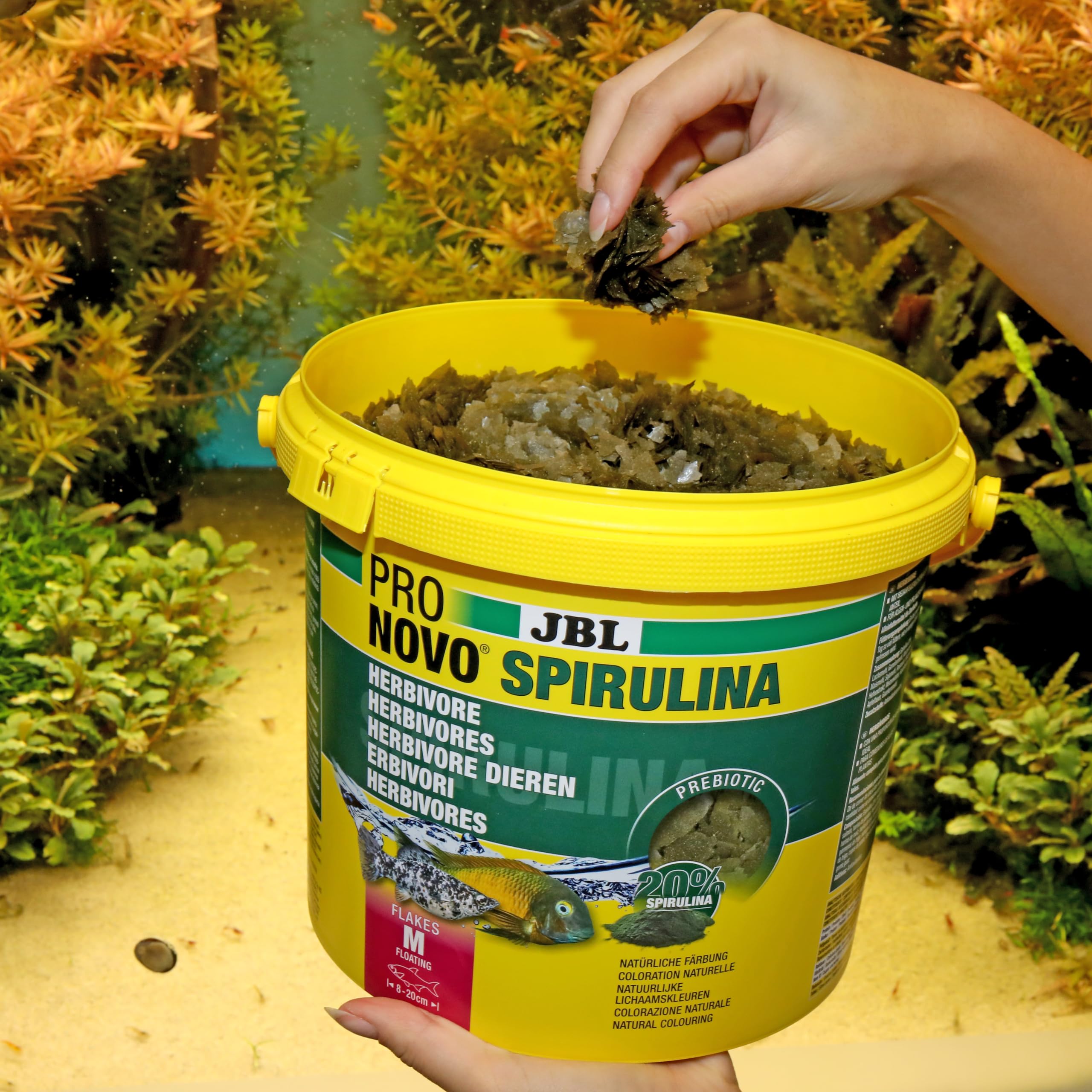 JBL PRONOVO SPIRULINA FLAKES, zielona karma dla wszystkich ryb akwariowych 8-20 cm, płatki pokarmu dla ryb, rozmiar M, 5500 ml