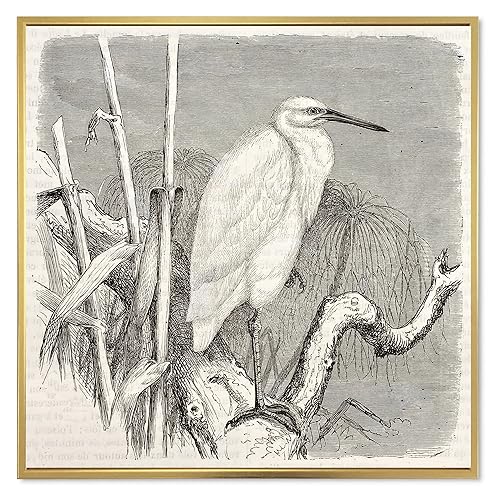 DesignQ Little Egret Bird - Farmhouse Framed Canvas Wall Art