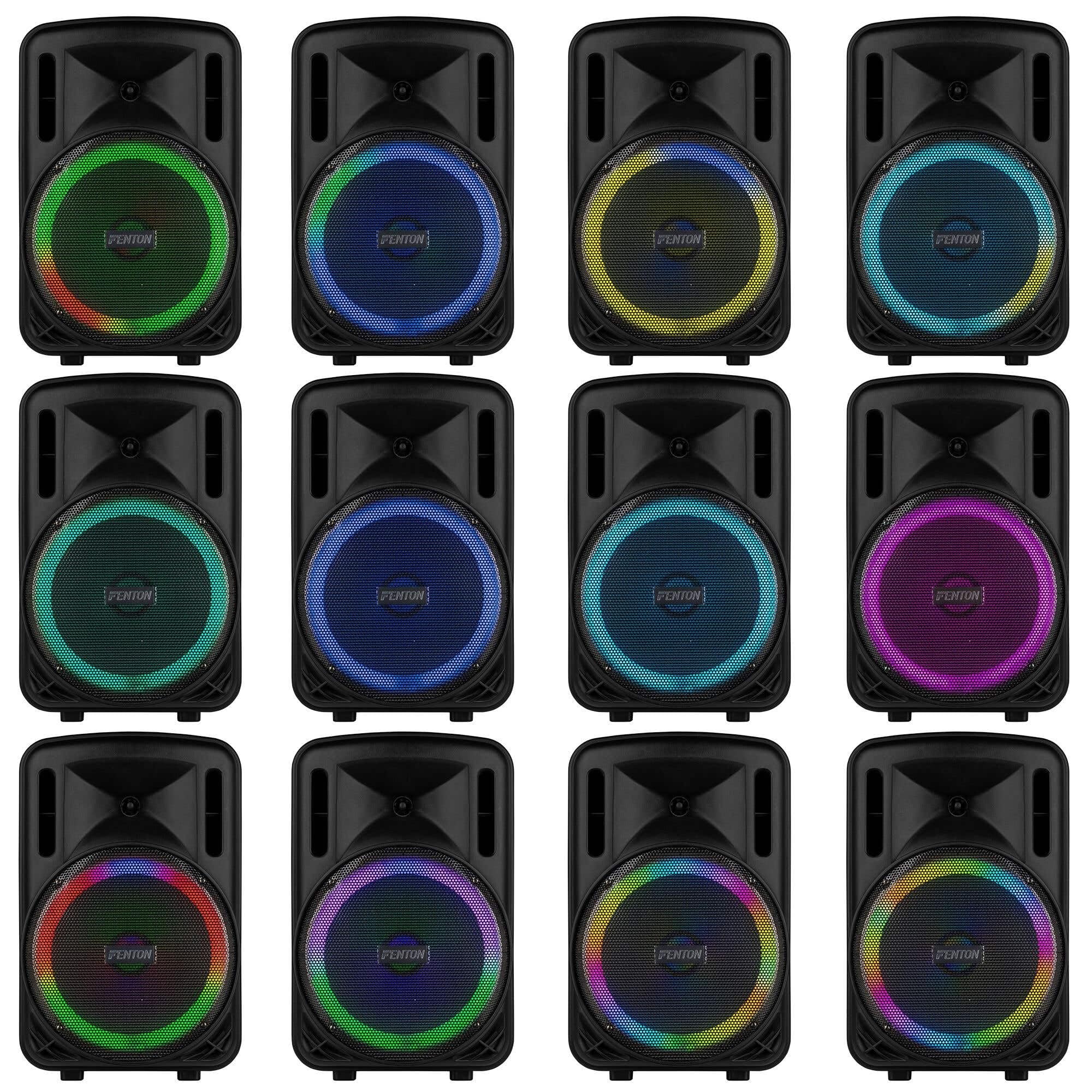 FENTON 170.162 FT12MK2 Sistema Portatile attivo da 700W, con illuminazione LED RGB Woofer da 12” con BT/USB / MP3 e Microfono UHF, Nero (700, Watt) [Classe di efficienza energetica A]