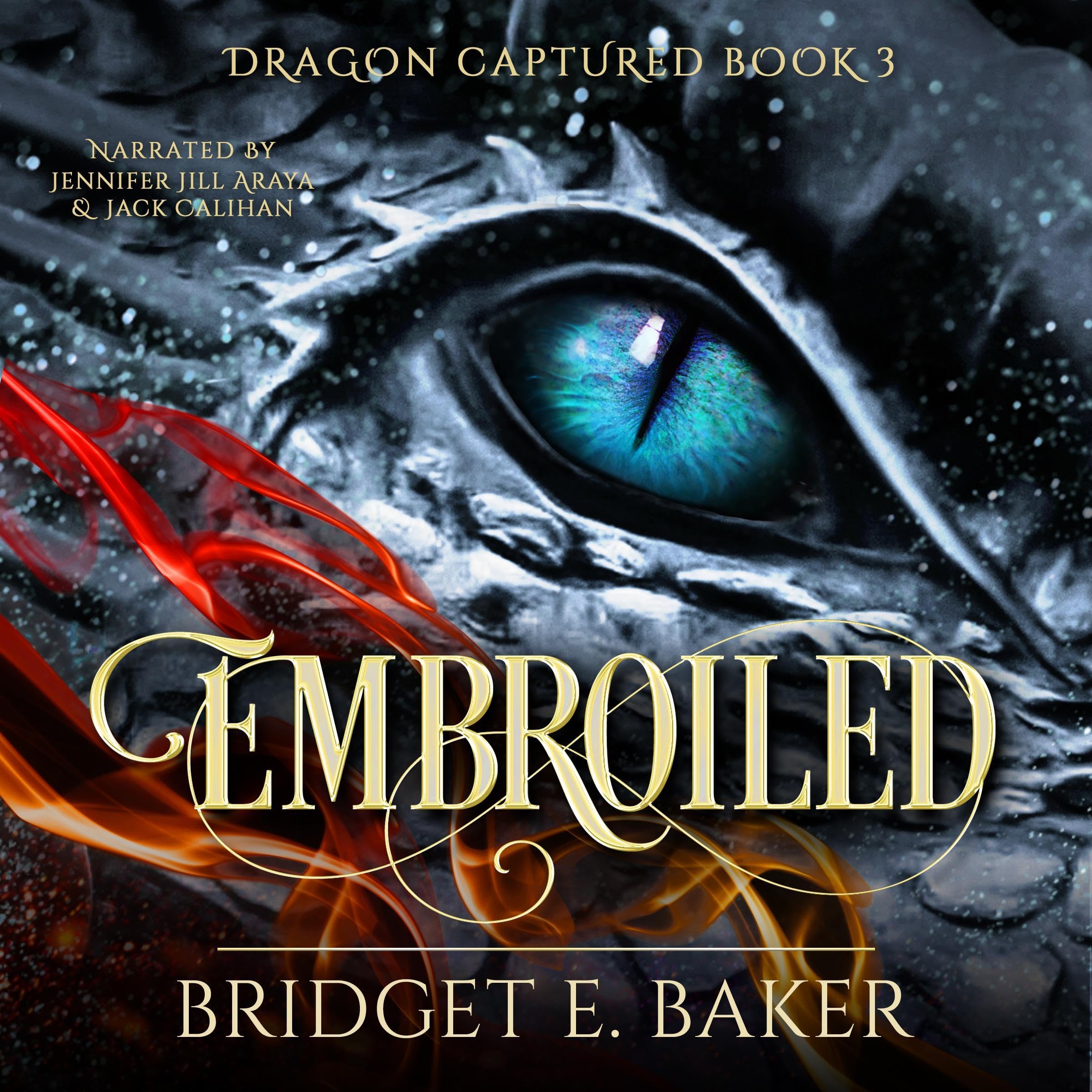 Cover art for Embroiled