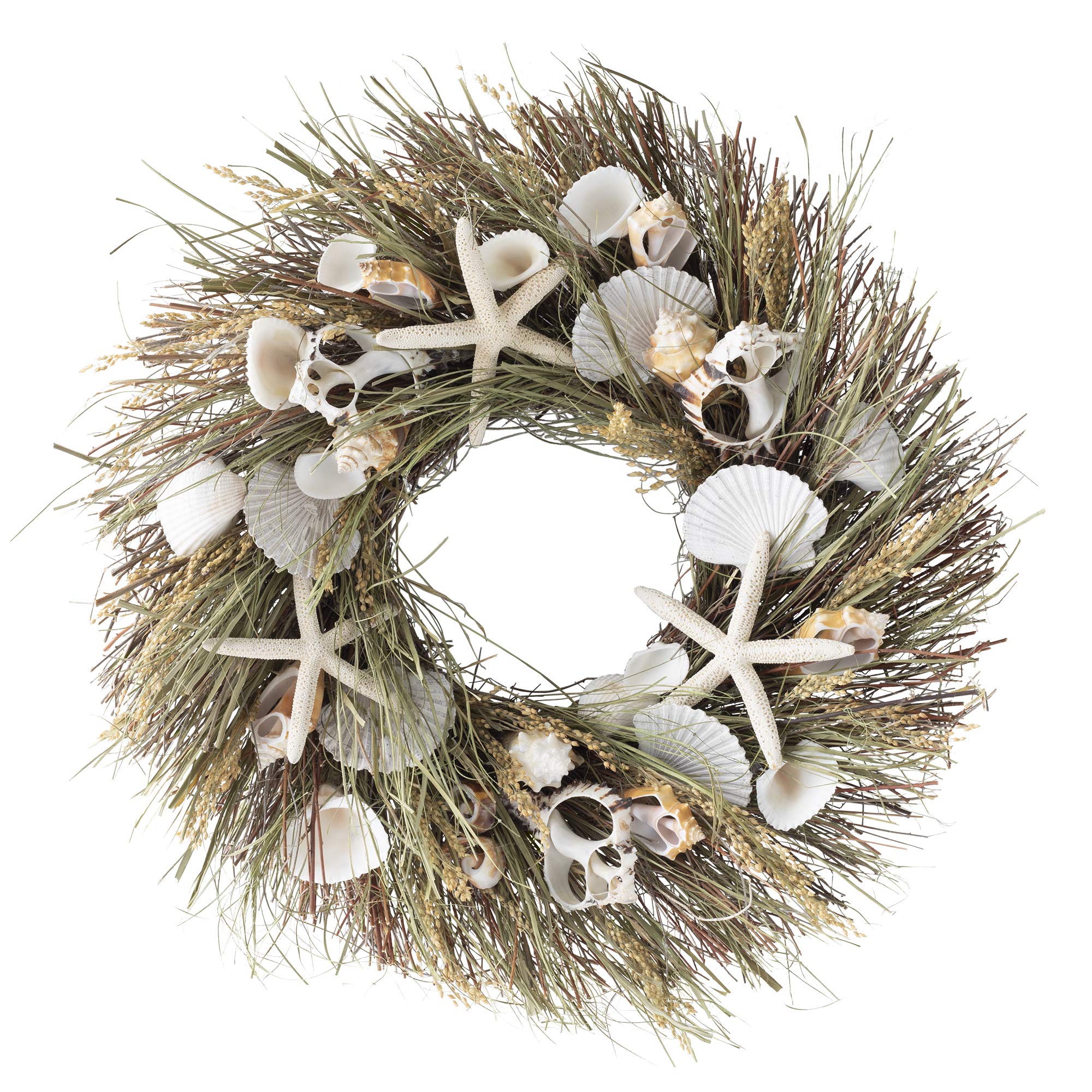 ANDALUCA Seagrass Seashell Coastal Wreath Natural Preserved (Green)