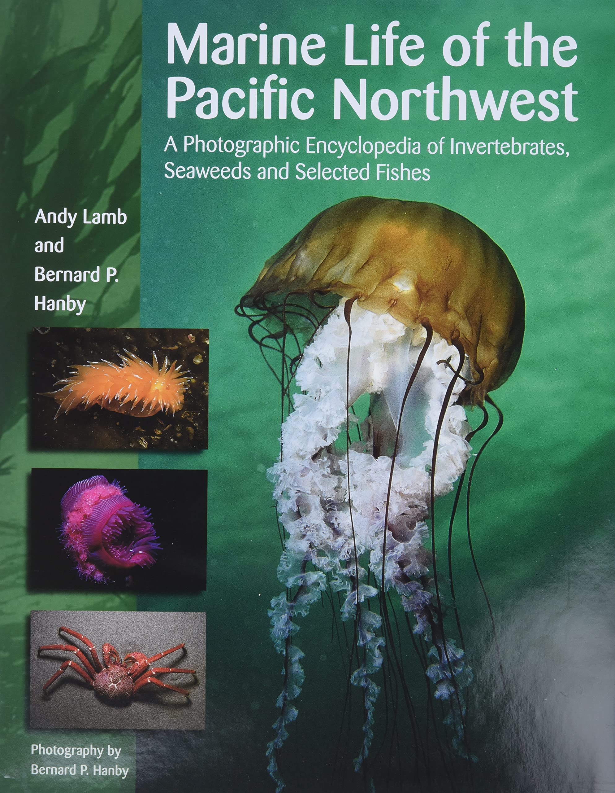 Marine Life of the Pacific Northwest: A Photographic Encyclopedia of Invertibrates, Seaweeds And Selected Fishes