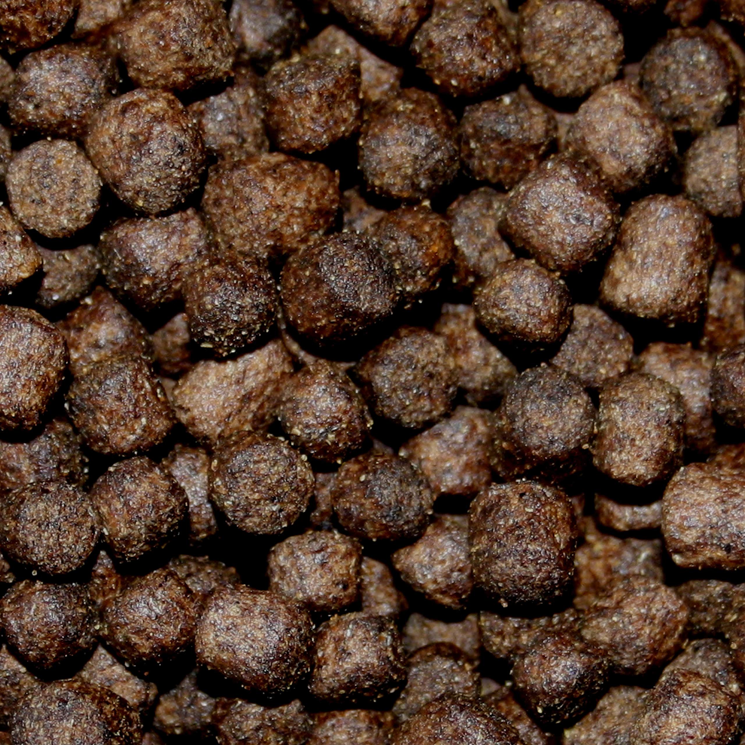 Tomodachi Koifutter Frühjahrsfutter - Energiereiches Sinkfutter 3kg Eimer