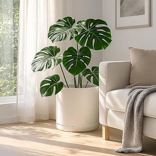 Miniatura 74 de D'vine Dev Macetas de plástico de 10 pulgadas para macetas de plantas con agujero de drenaje y platillos sin costuras, color negro, 74-X-B-2 Mate