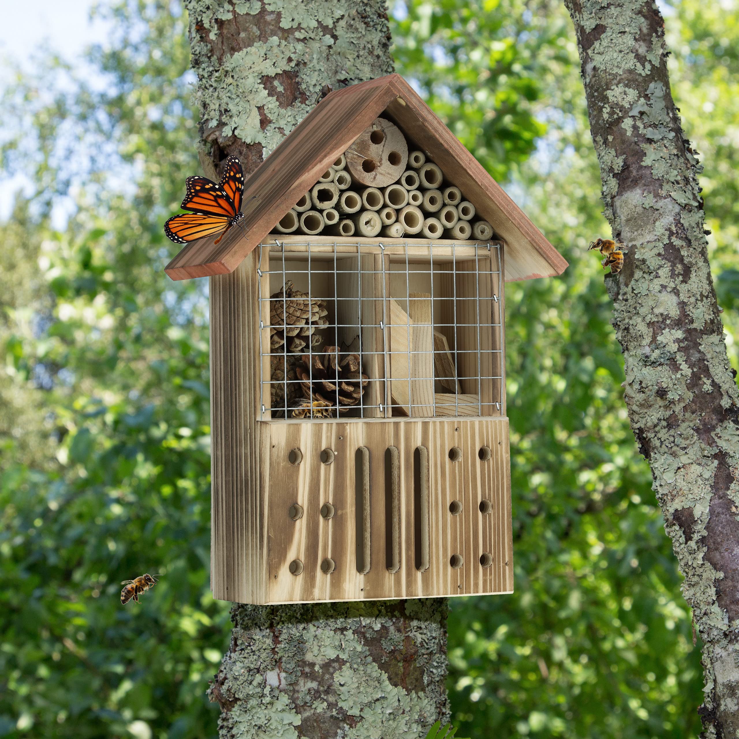 Relaxdays vlinderhuis dennenhout, insectenhotel voor in de tuin, ophangen, met 5 sleuven, vlinderverblijf, natuur/groen