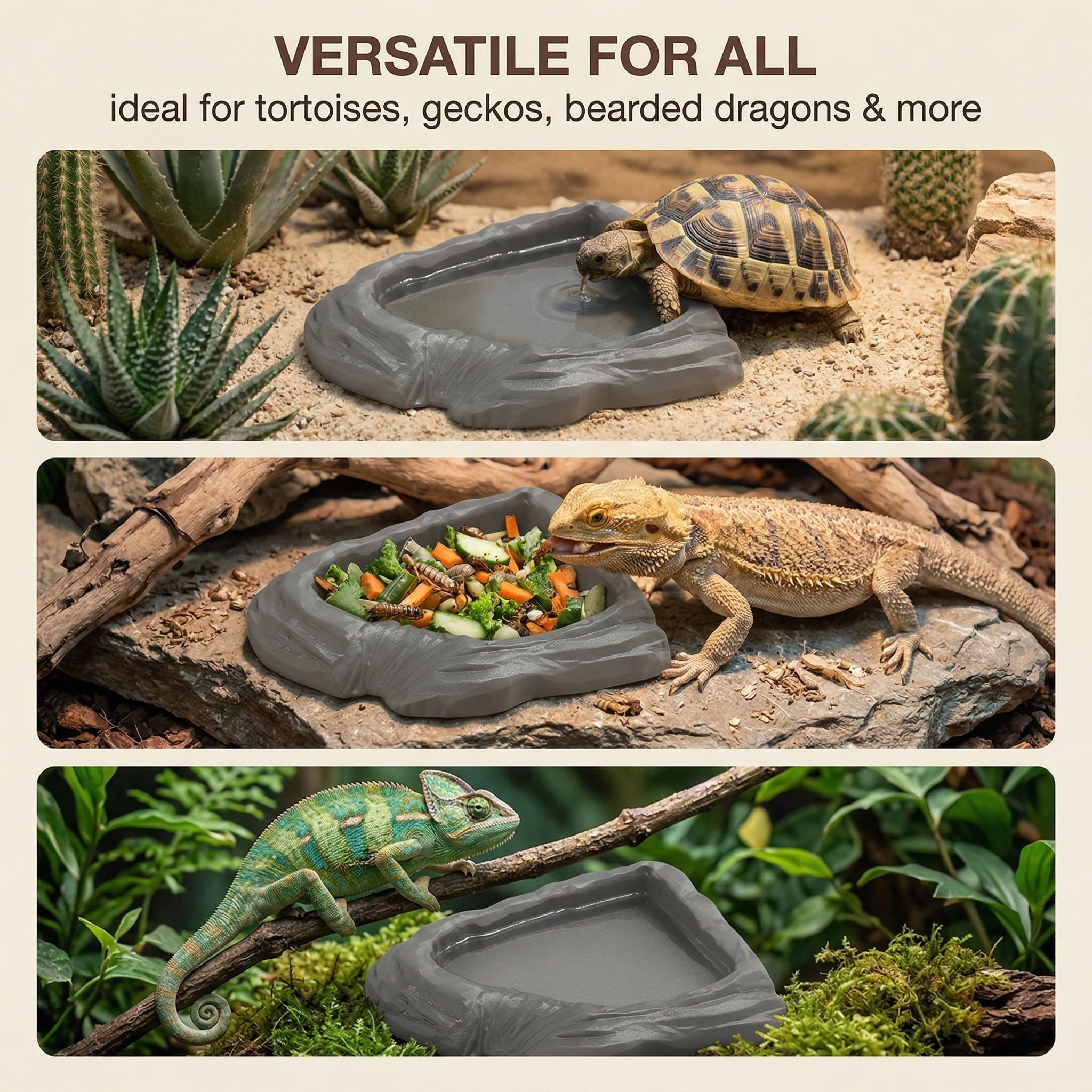 2 Pièces Bol D'Alimentation Pour Reptiles Nourriture Tortue Terrestre, Nourriture Pour Bol Pour Reptiles En Feuilles, Bol À Boire Pour Maison De Tortue, Bol D'Eau Pour Reptiles