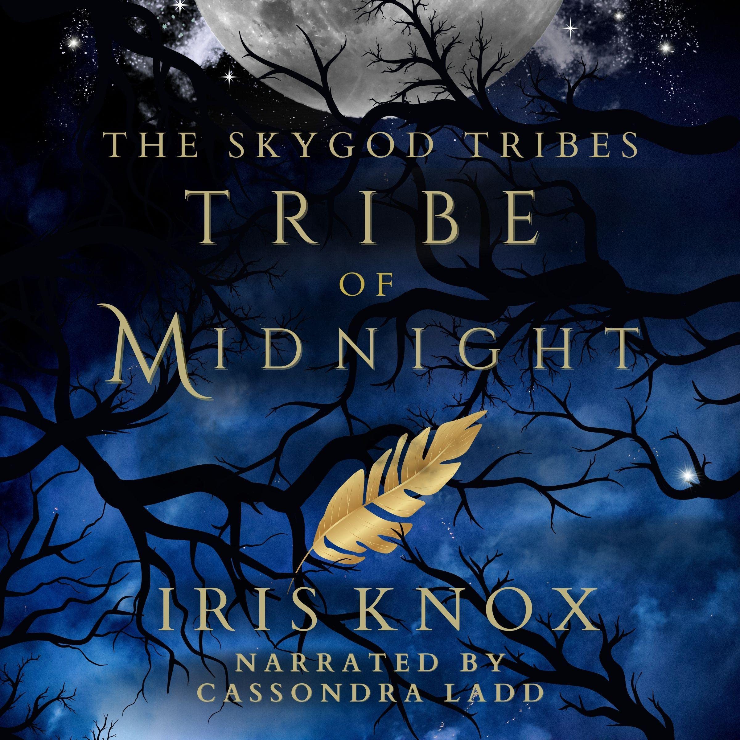 Cover art for Tribe of Midnight