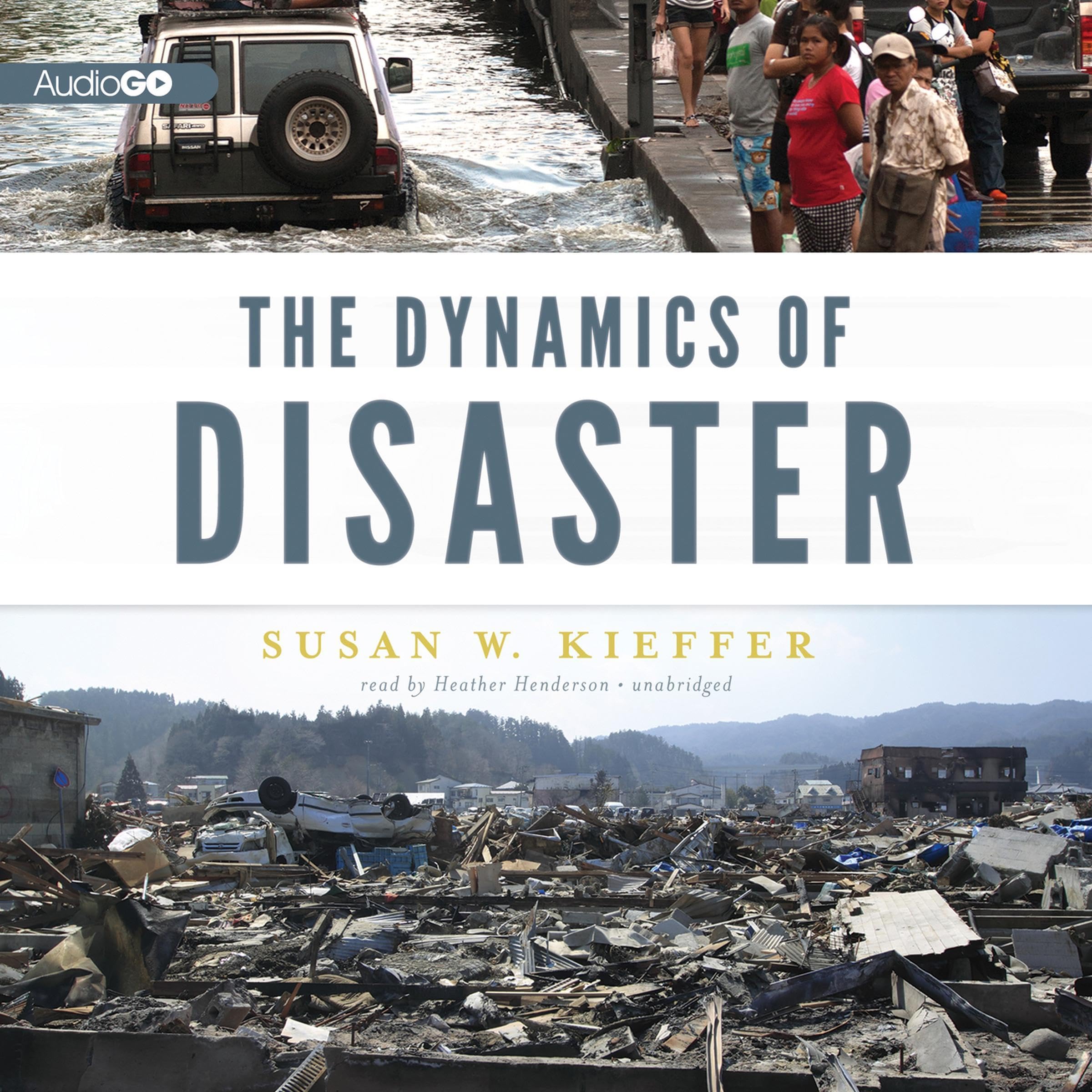 Cover art for The Dynamics of Disaster