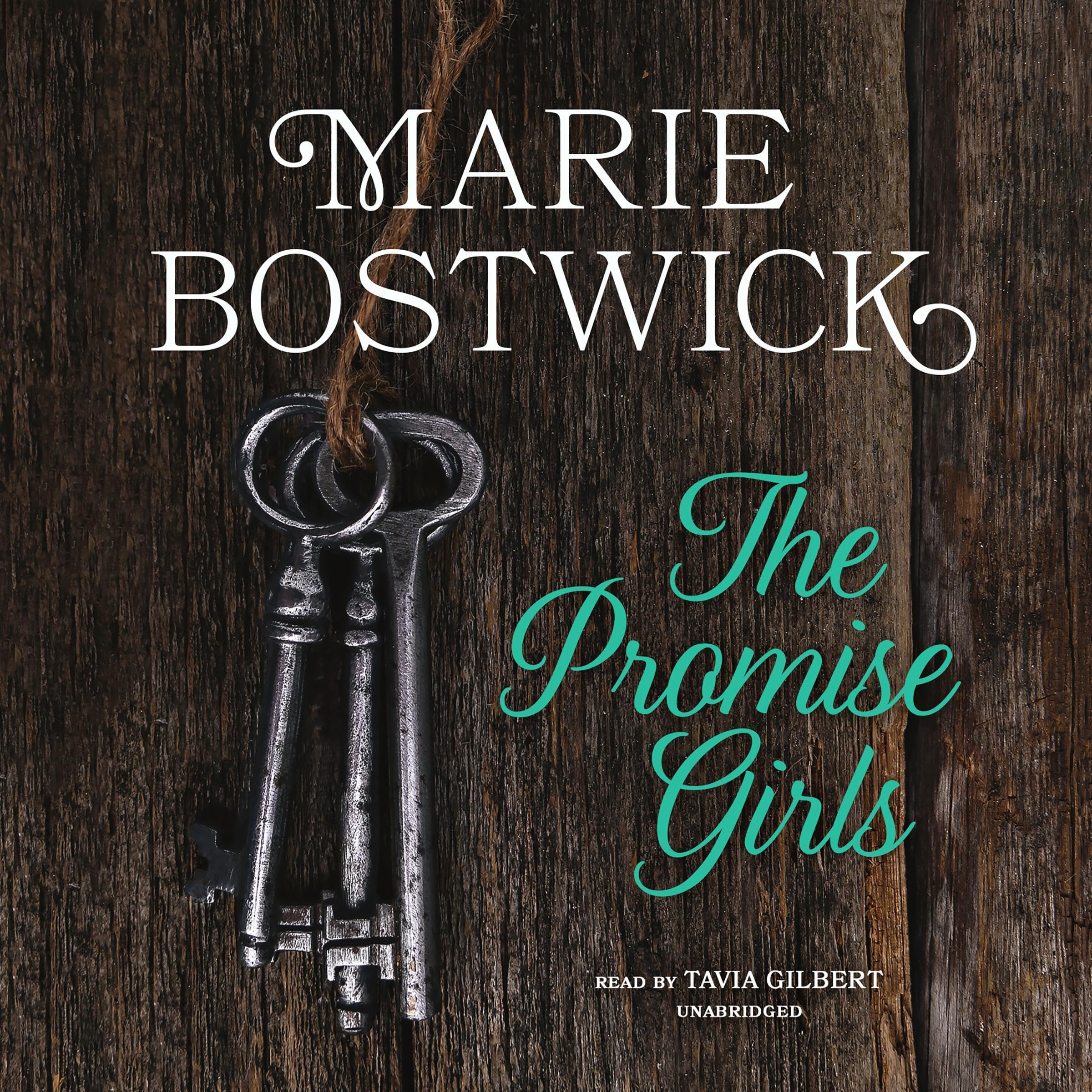 Cover art for The Promise Girls