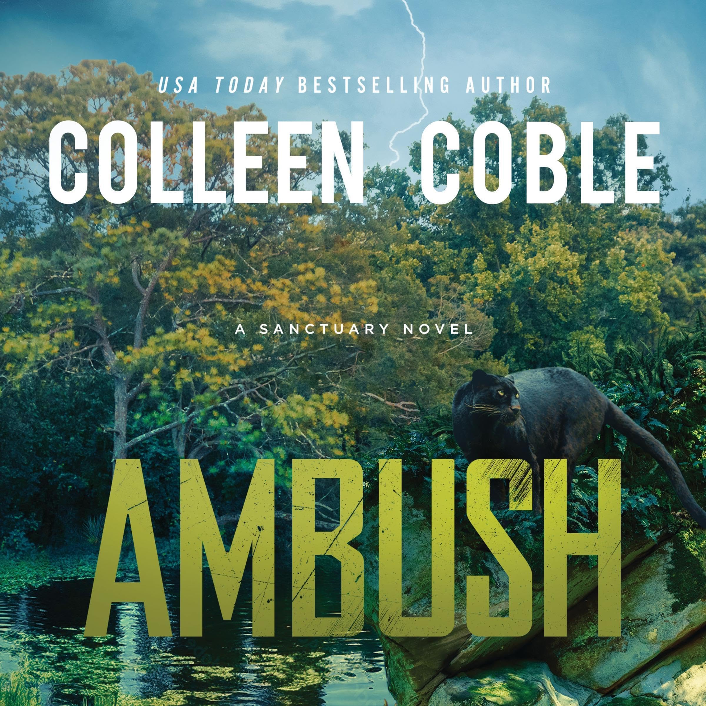 Cover art for Ambush: A Small-Town Romantic Suspense