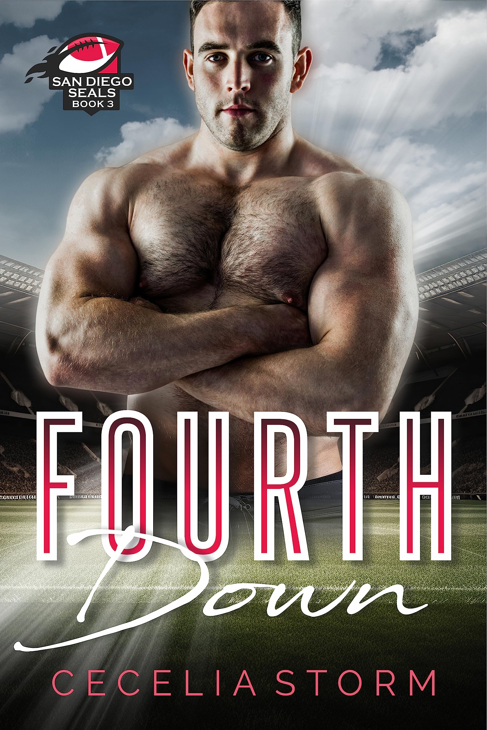 Fourth Down (San Diego Seals Book 3): A Friends to Lovers MM Sports Romance