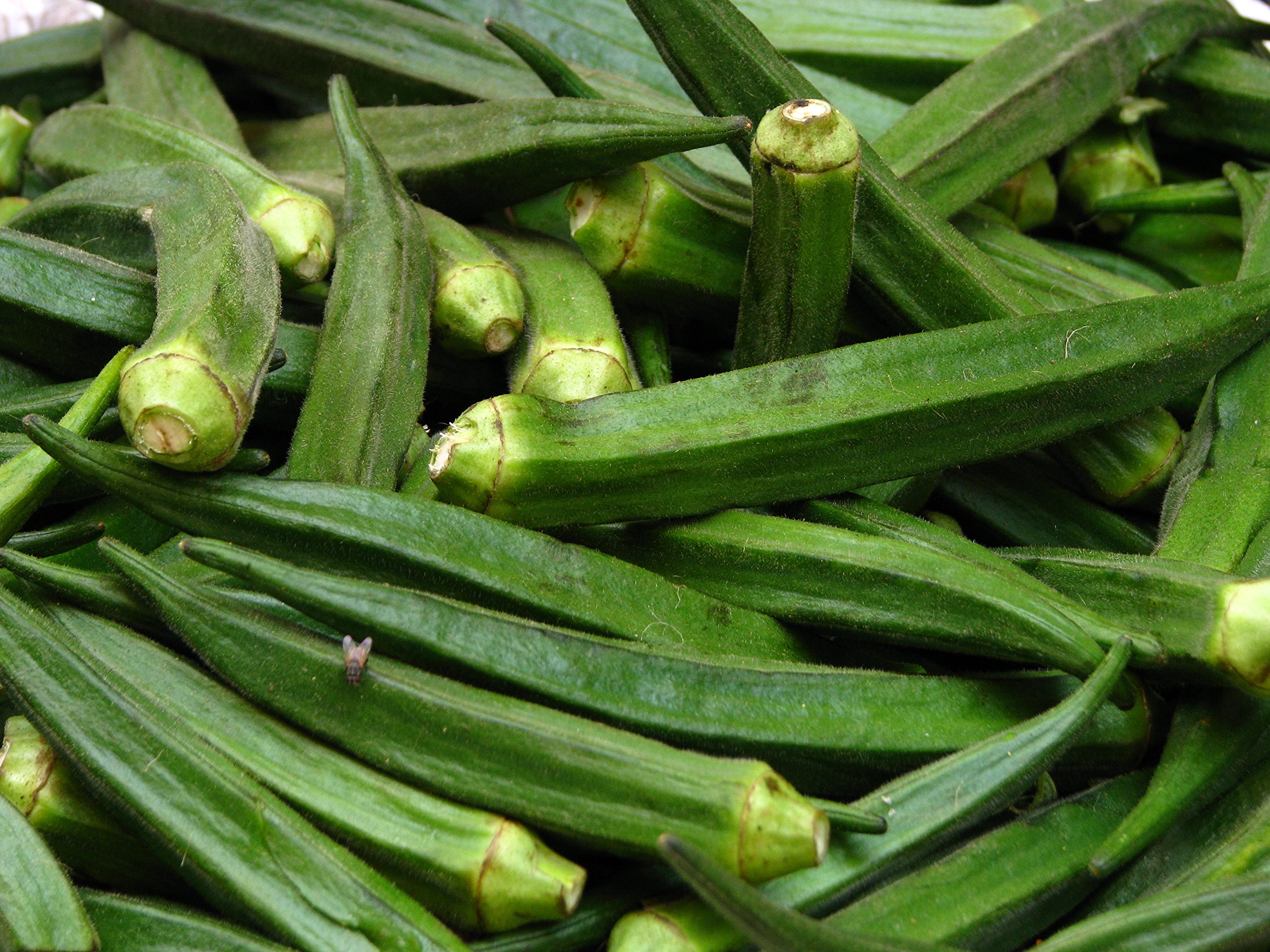 OL Seed Bhindi Seeds (Pack of 50 Seeds) (B07CYZ6C7Y) Amazon Price History, Amazon Price Tracker