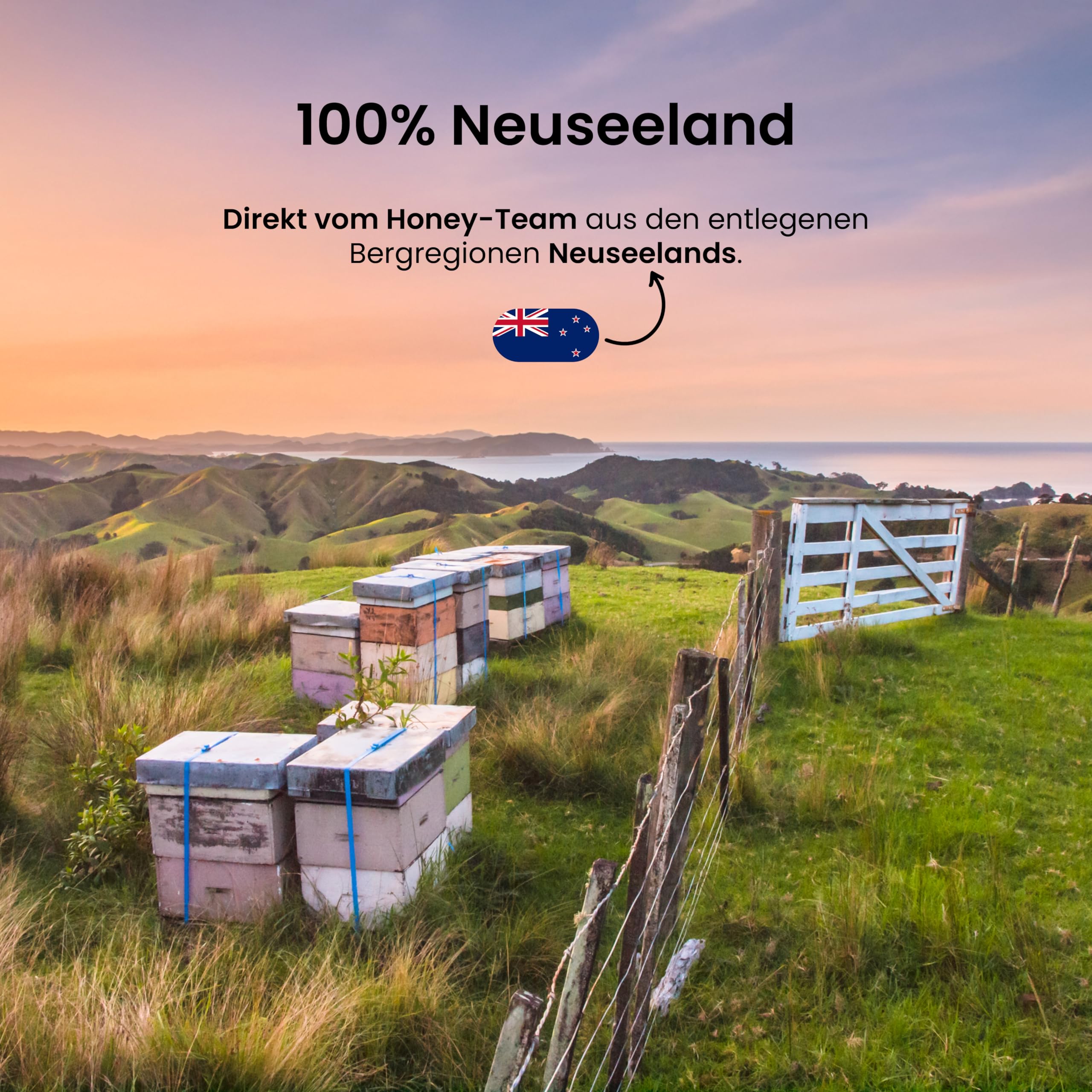 Manuka Honig MGO 550+ 250g aus Neuseeland - Laborgeprüft, abgefüllt und MGO zertifiziert in Deutschland - Nachhaltig verantwortungsvoll: Kein Plastik sondern verpackt in Recyclingglas!